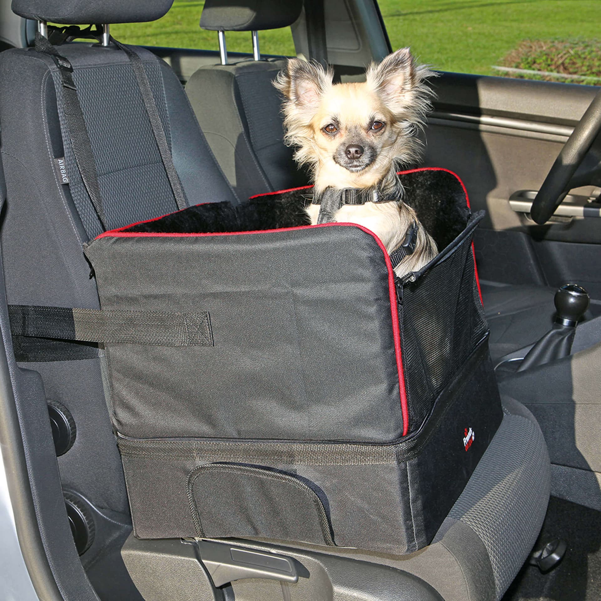 Autositz für kleine Hunde
