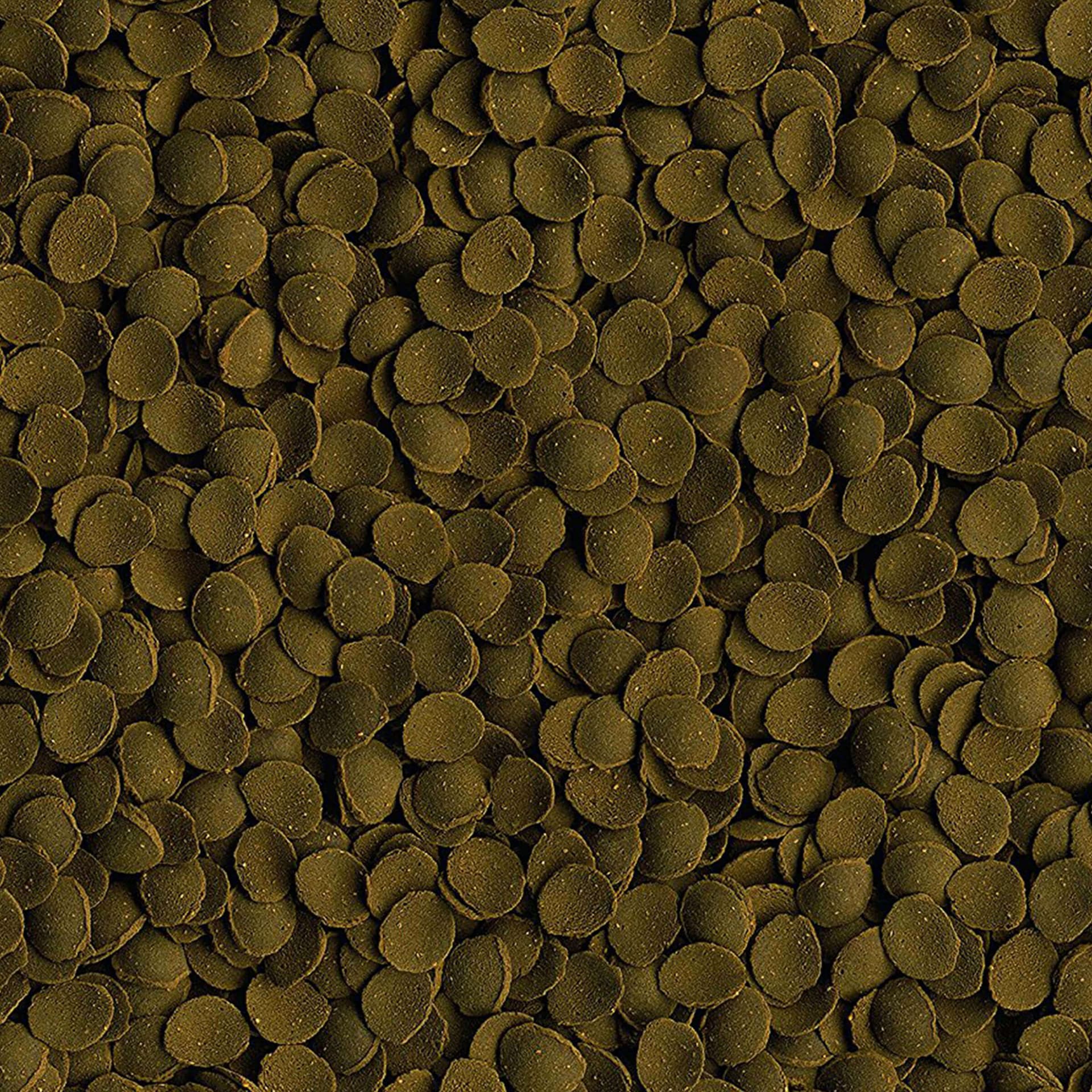 Pleco Veggie Wafers