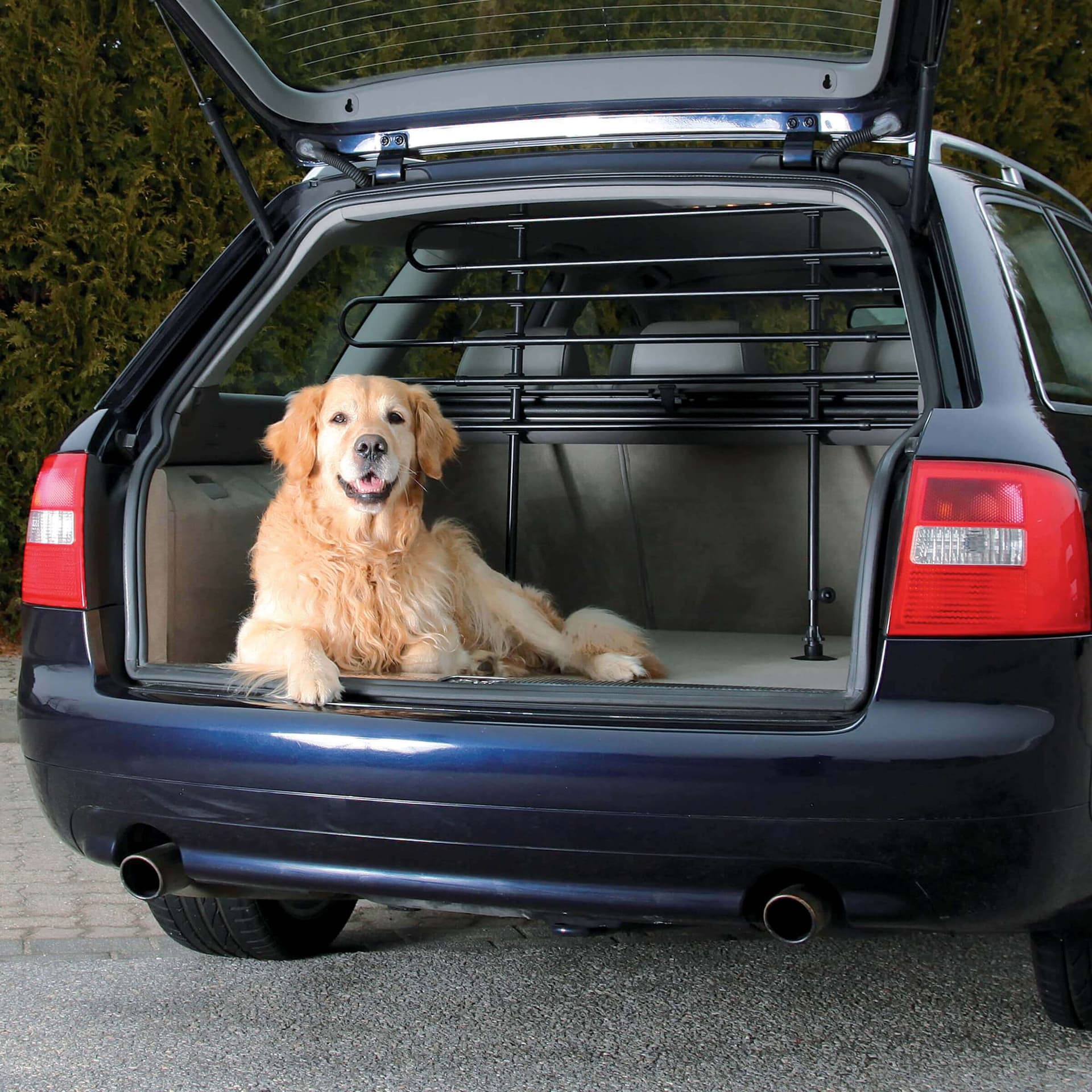 Auto Gitter