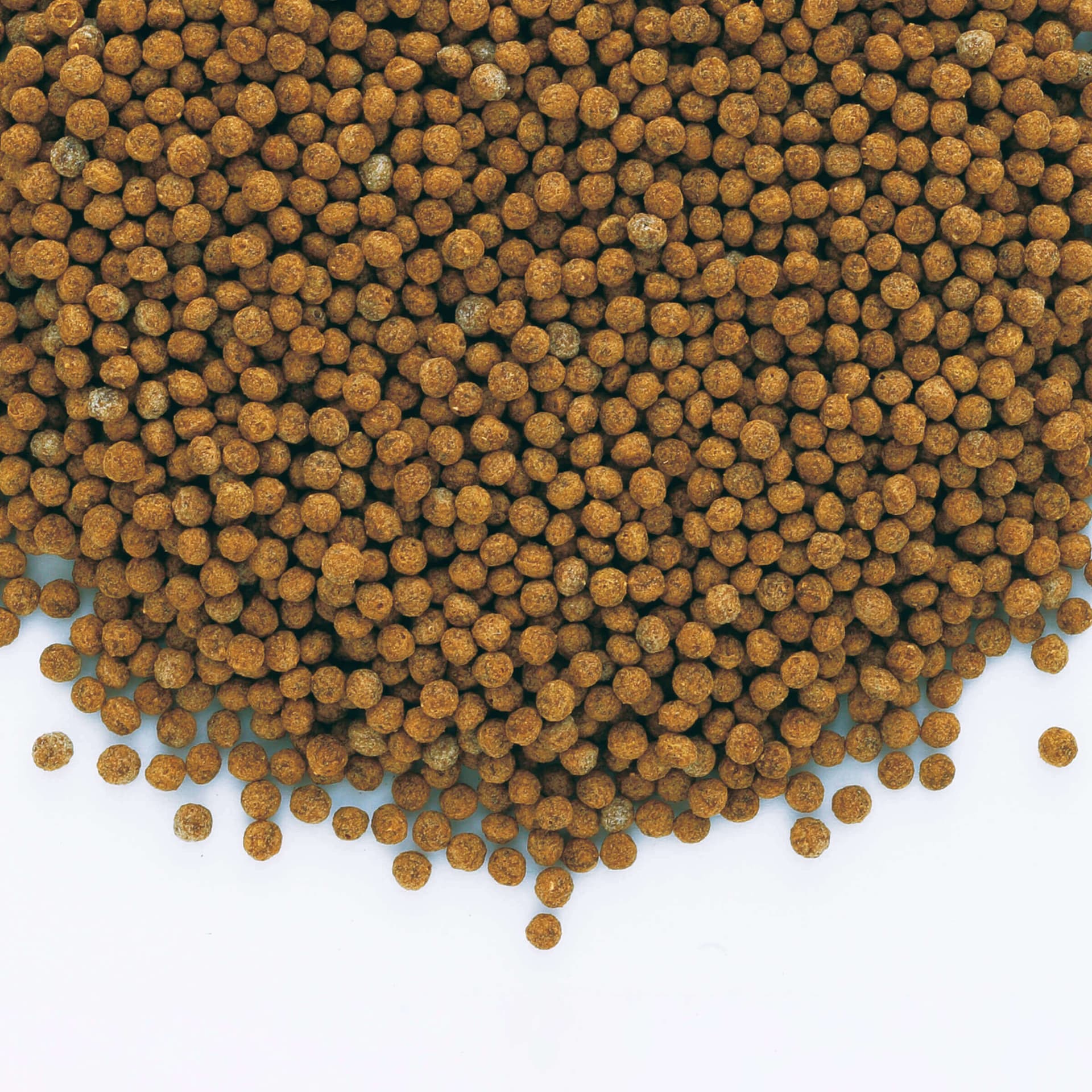Goldfish Granules