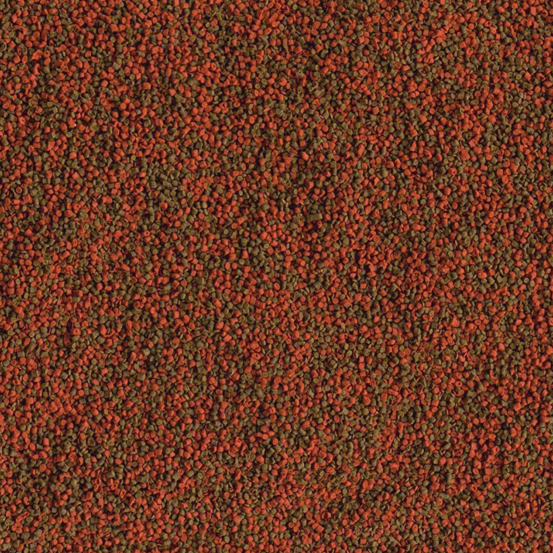 Cichlid Mini Granules