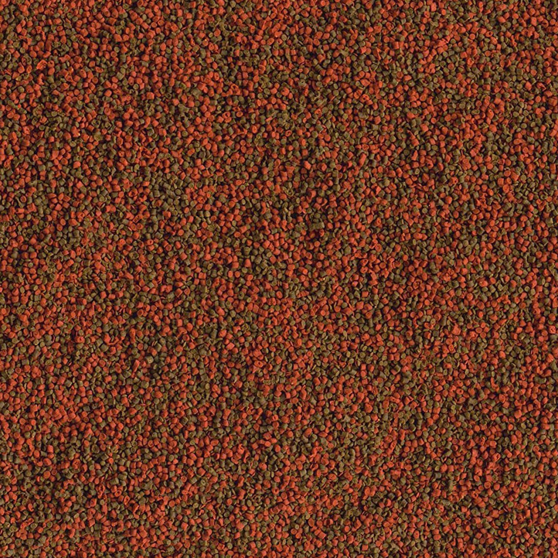 Cichlid Granules