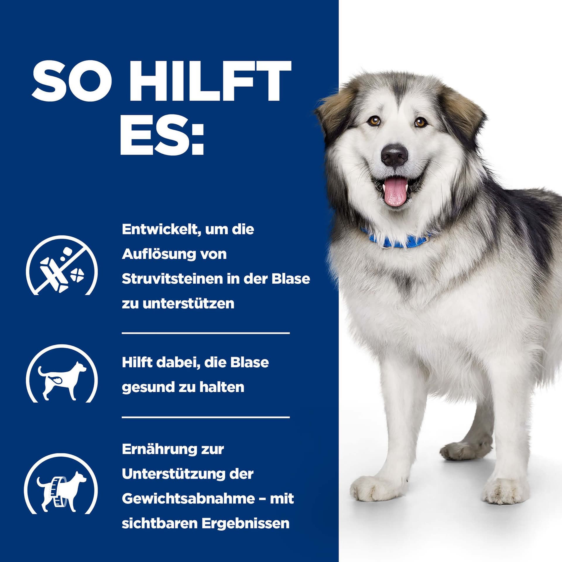 Hundfutter Prescription Diet c/d Multicare & Metabolic
