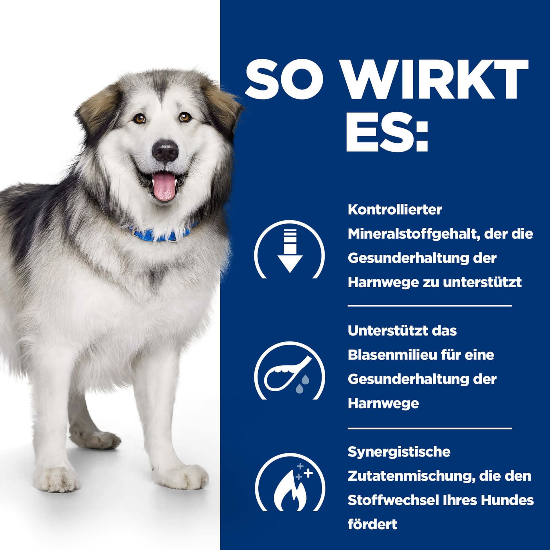 Hundfutter Prescription Diet c/d Multicare & Metabolic