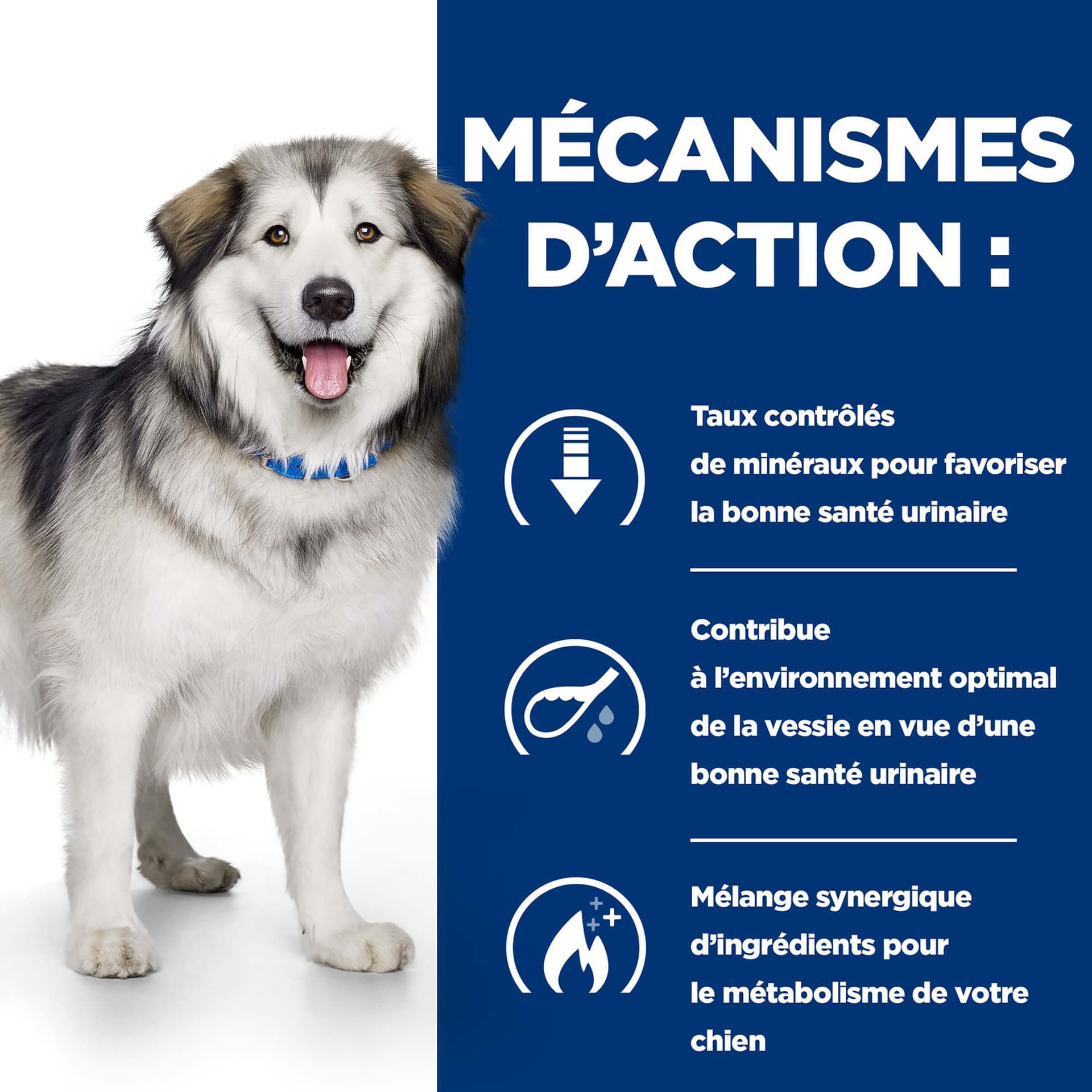 Hundfutter Prescription Diet c/d Multicare & Metabolic