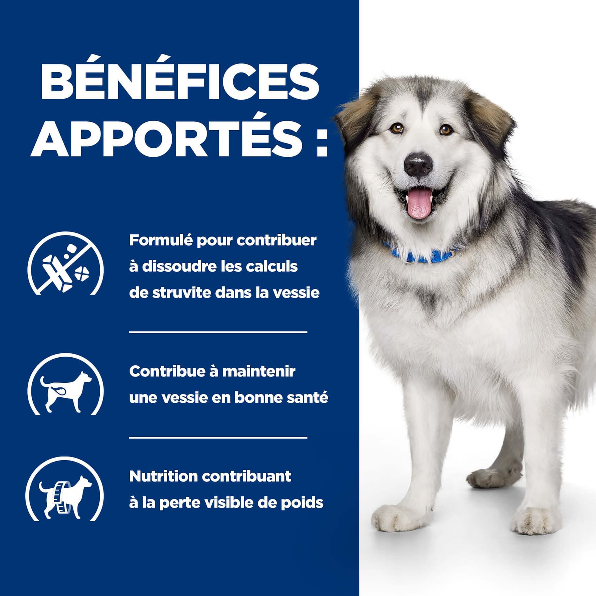 Hundfutter Prescription Diet c/d Multicare & Metabolic