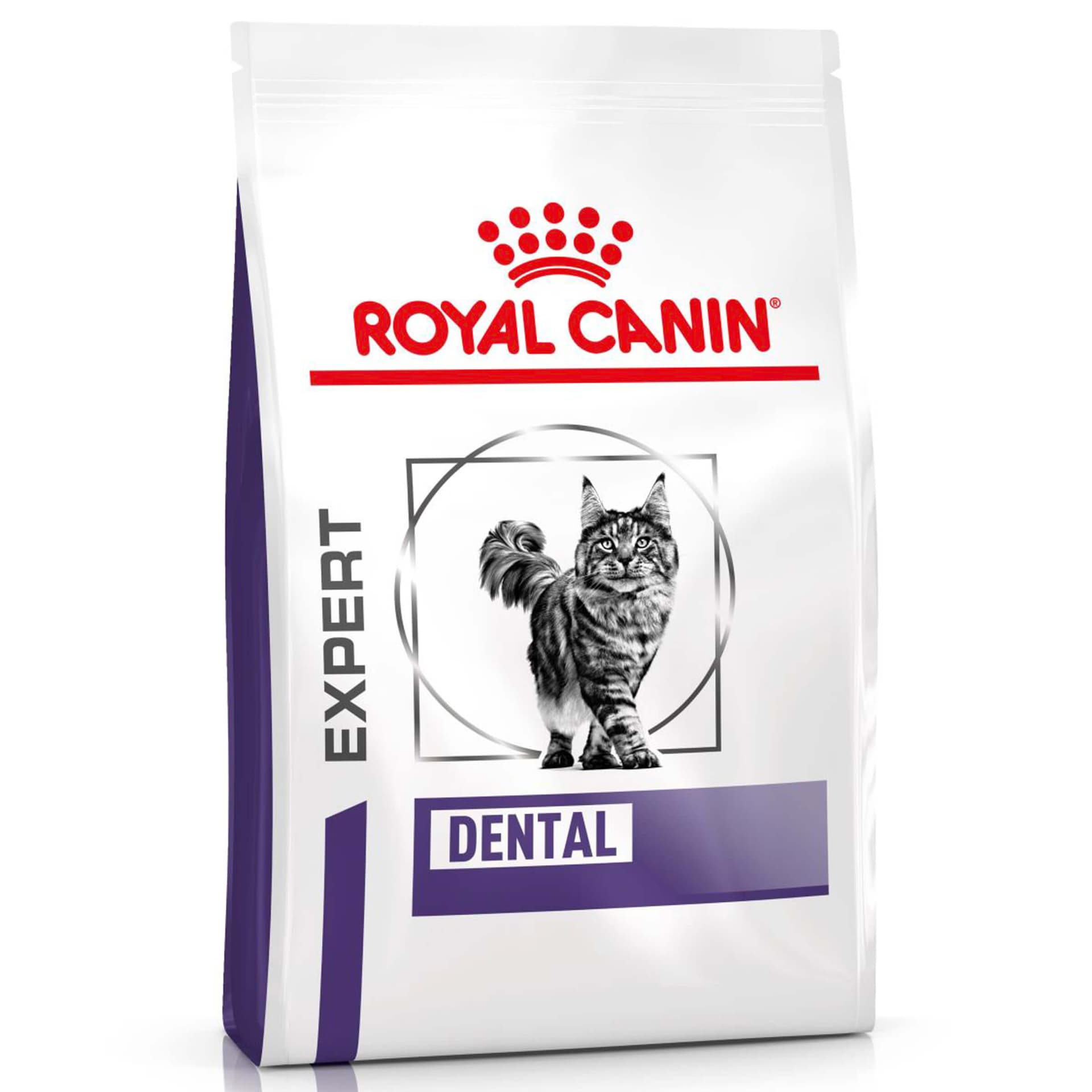 Dental Dry