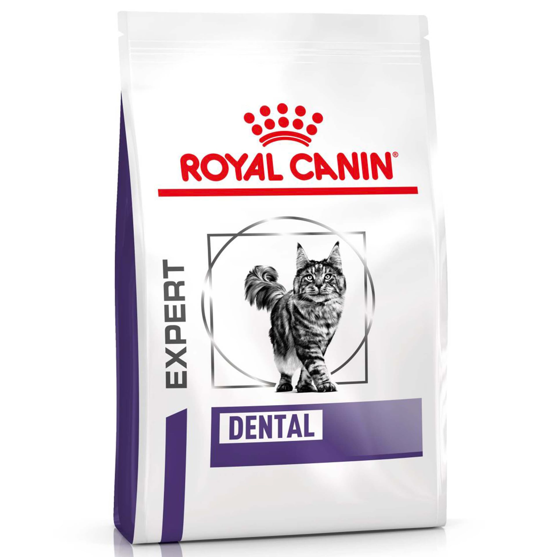 Dental Dry