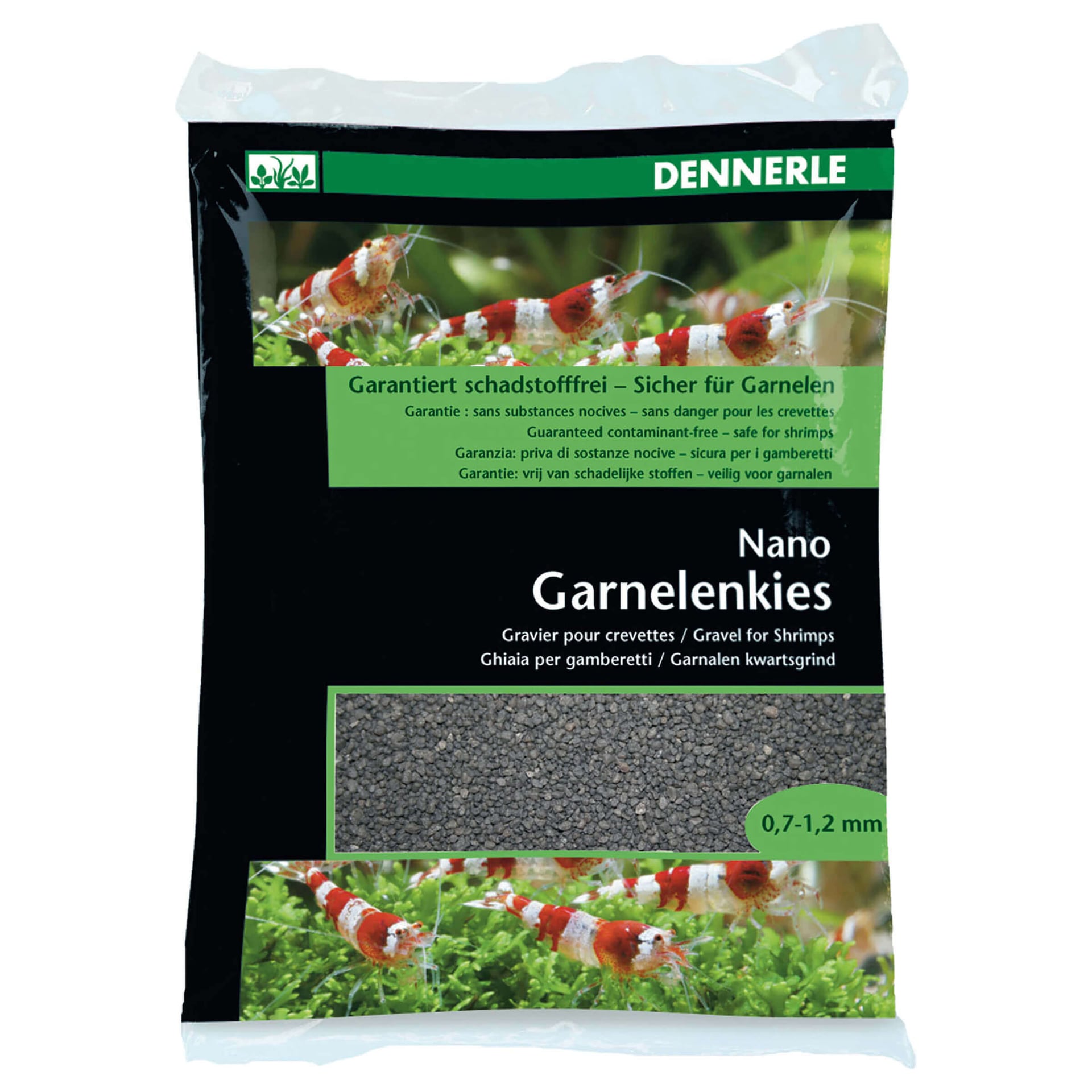 Nano Garnelenkies Sulawesi