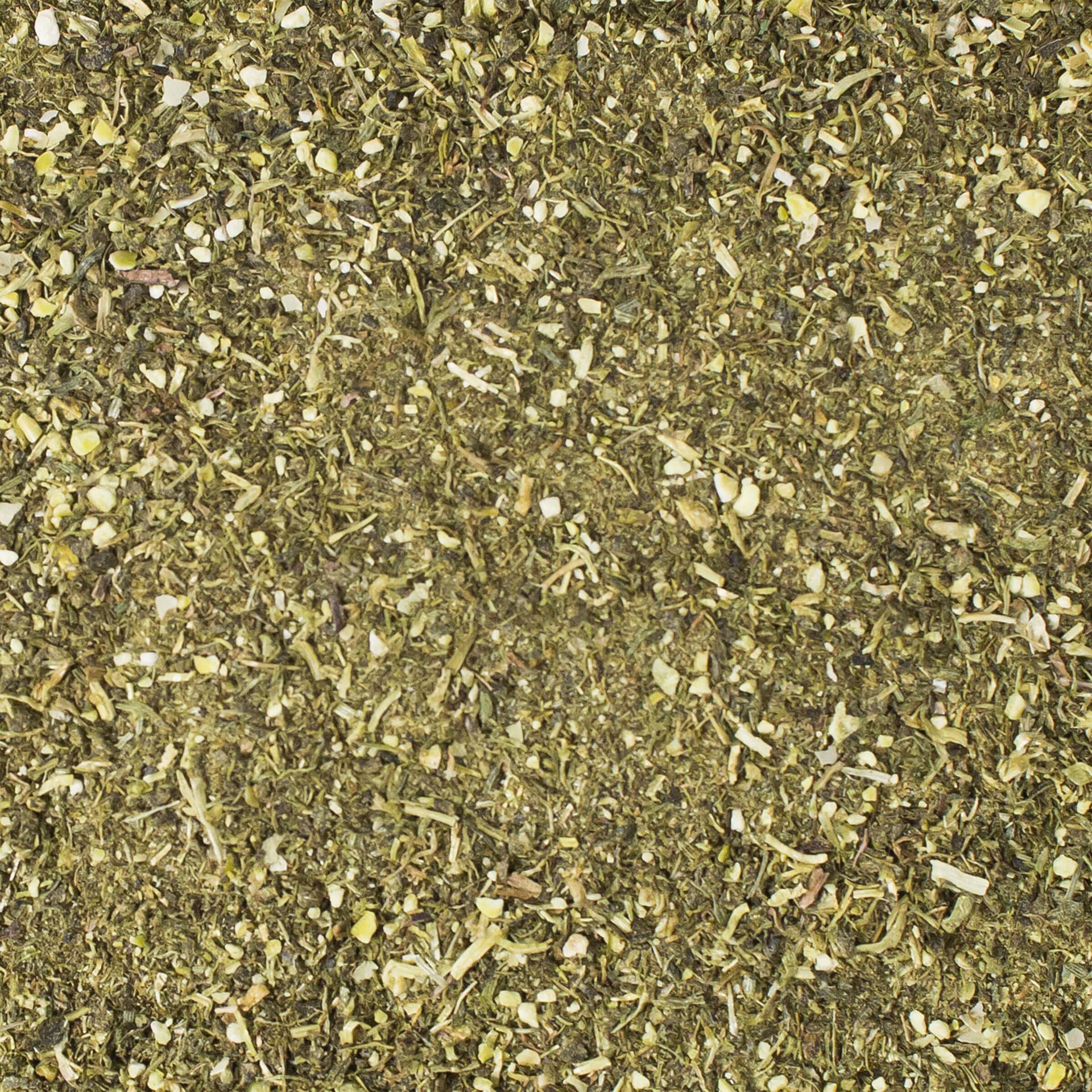 Nager Breifutter Herbivoren