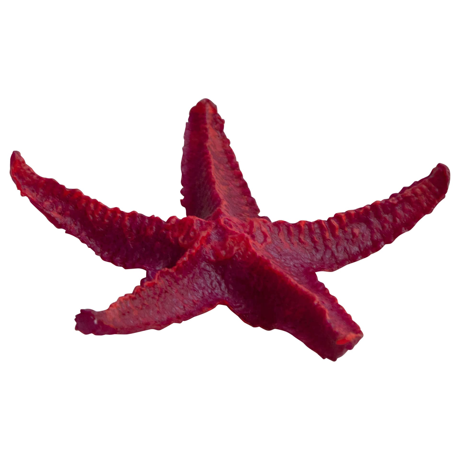 Aquariumdekoration Star Fish