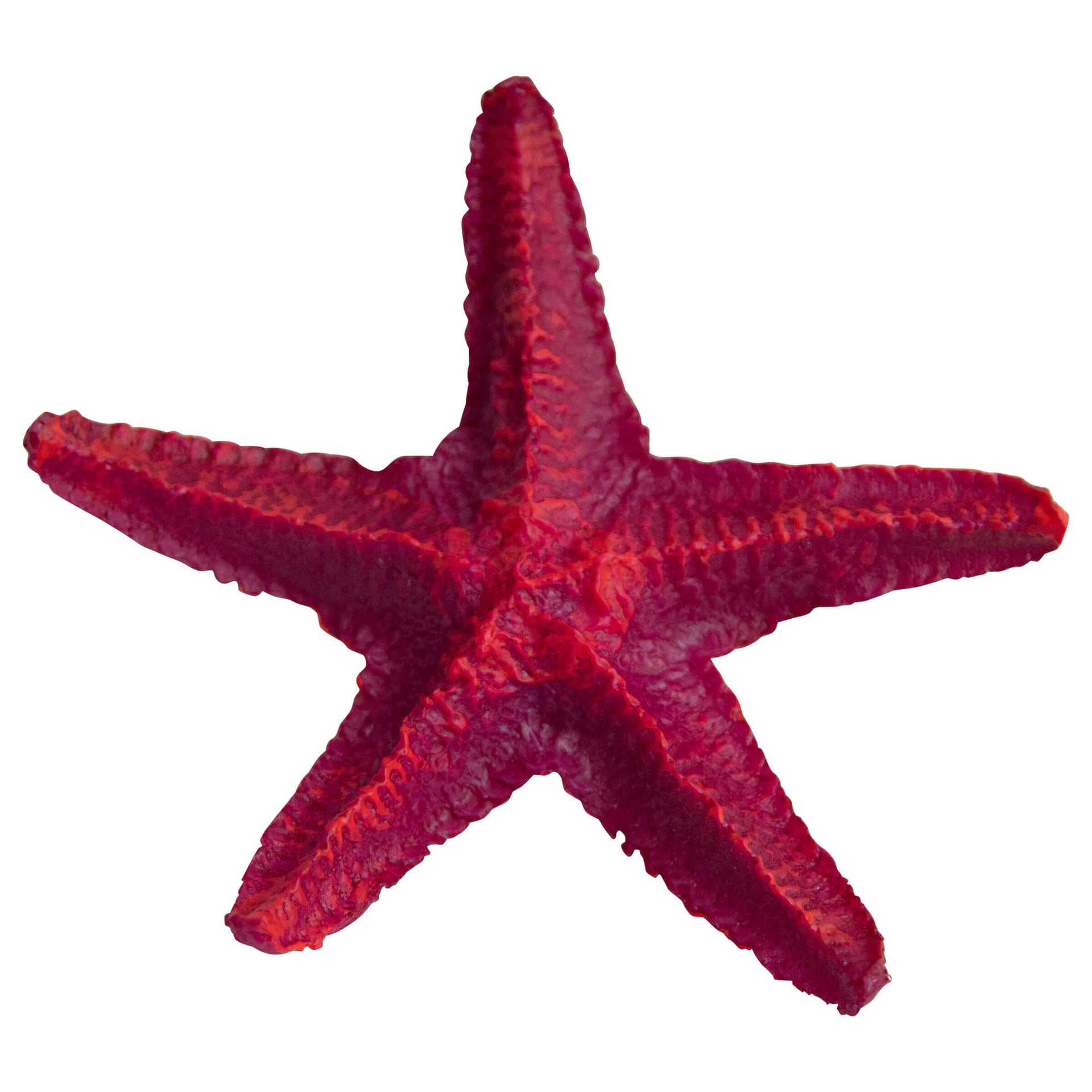 Aquariumdekoration Star Fish