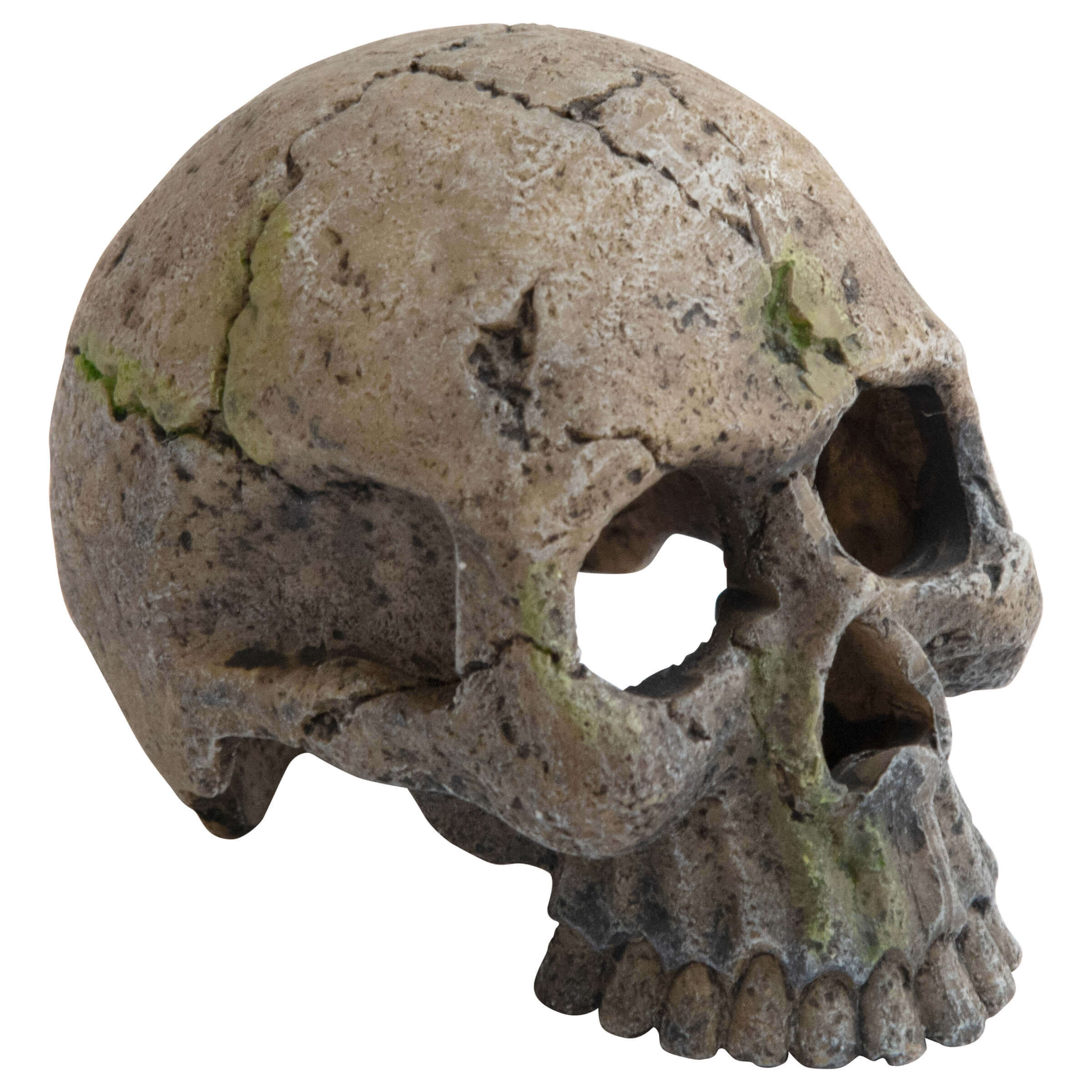 Aquariumdekoration Skeleton