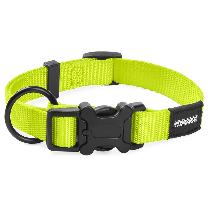 BasicUni Hundehalsband
