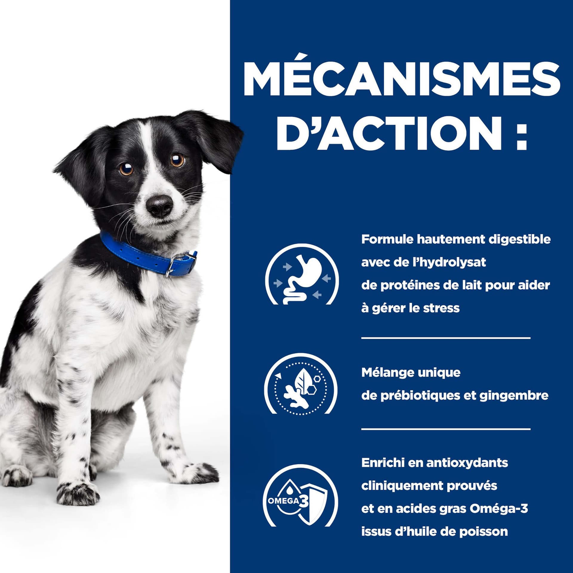 Prescription Diet i/d Stress Mini