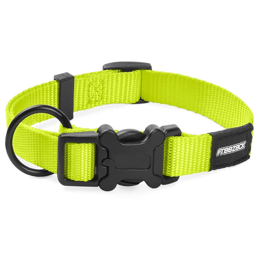BasicUni Hundehalsband