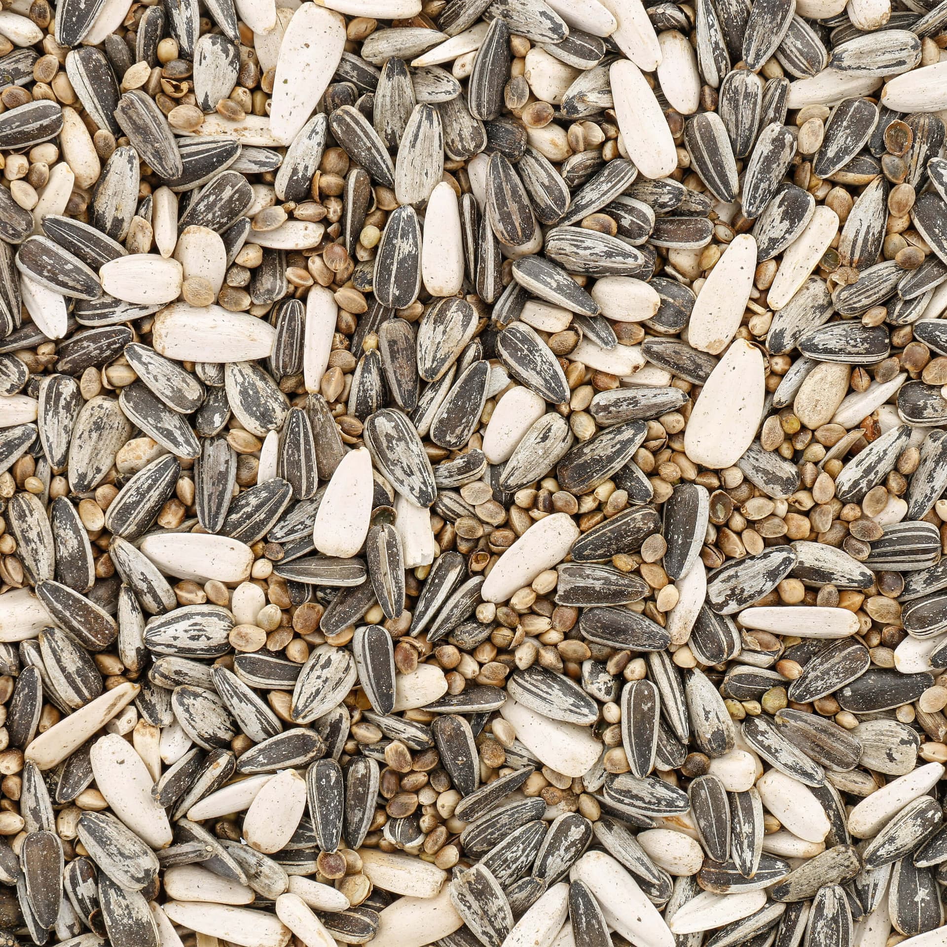 Wildvogelfutter Premium