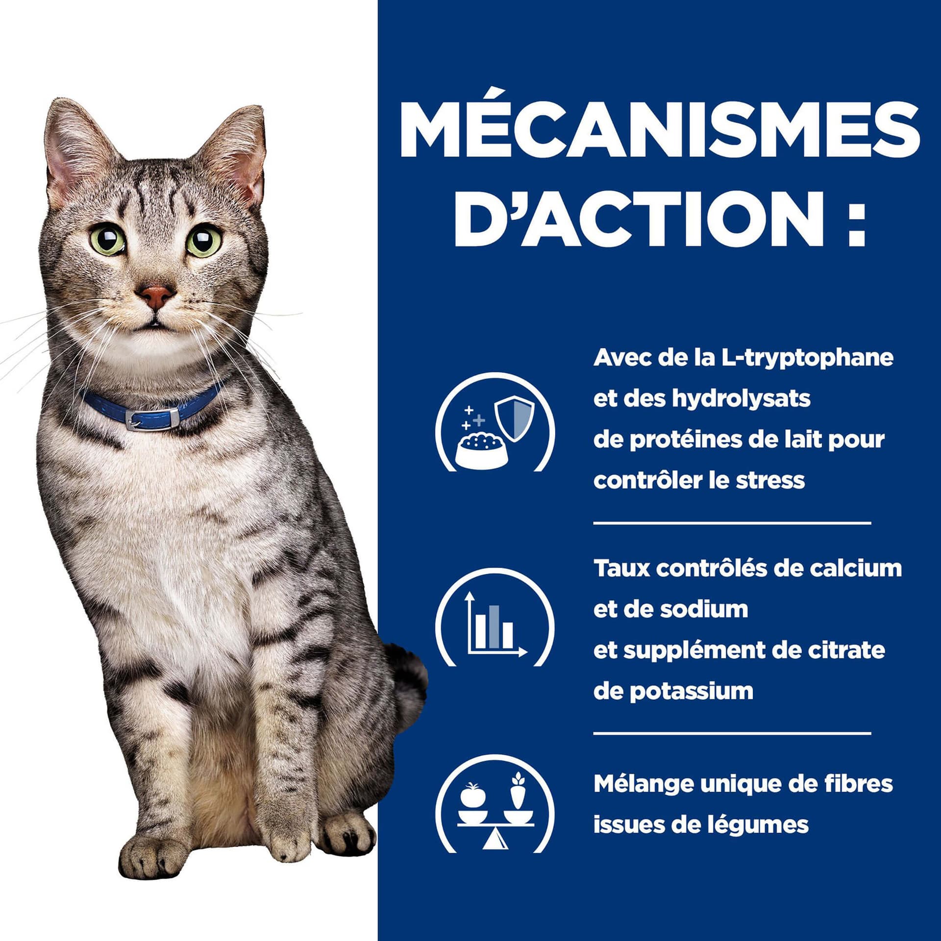 Katze Prescription Diet c/d Urinary Stress & Metabolic Huhn