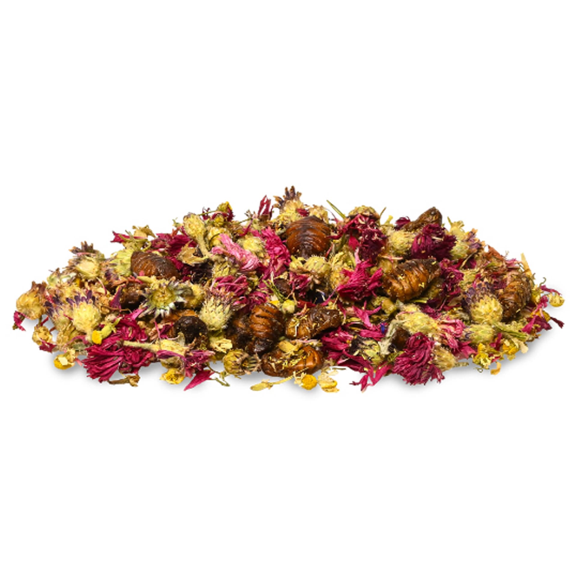 Enjoy Nature Mix mit Larven