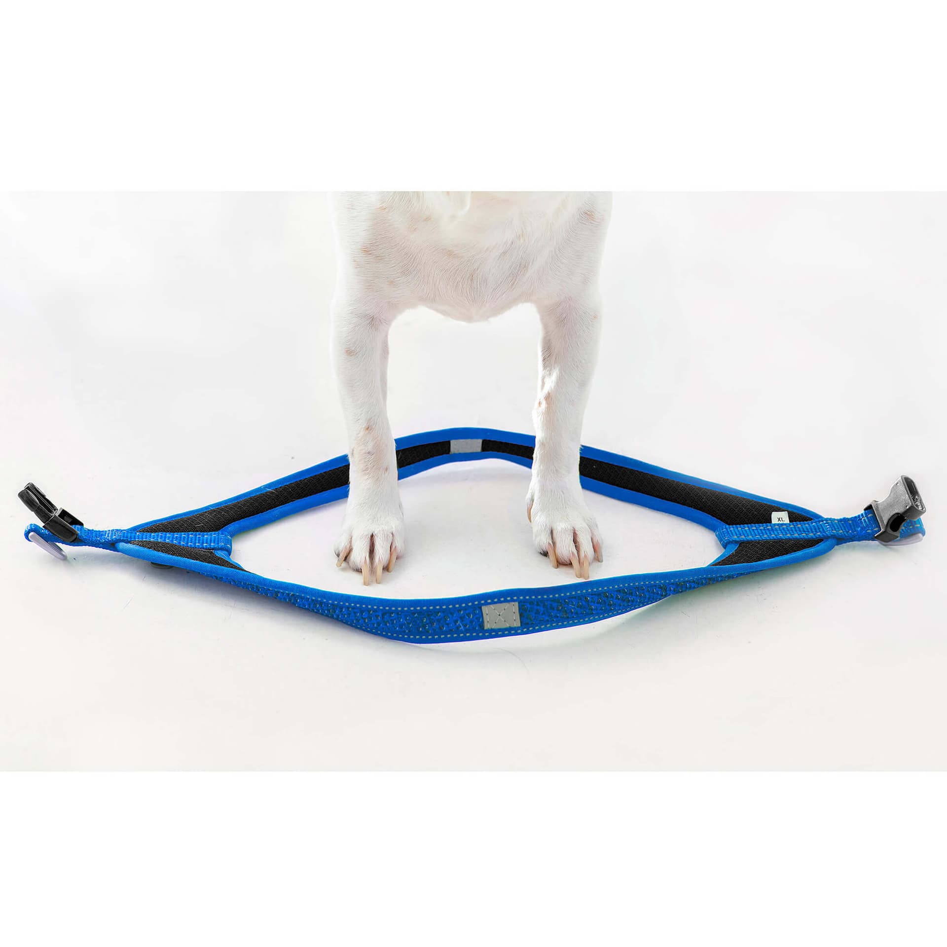 Fast-Fit Harness