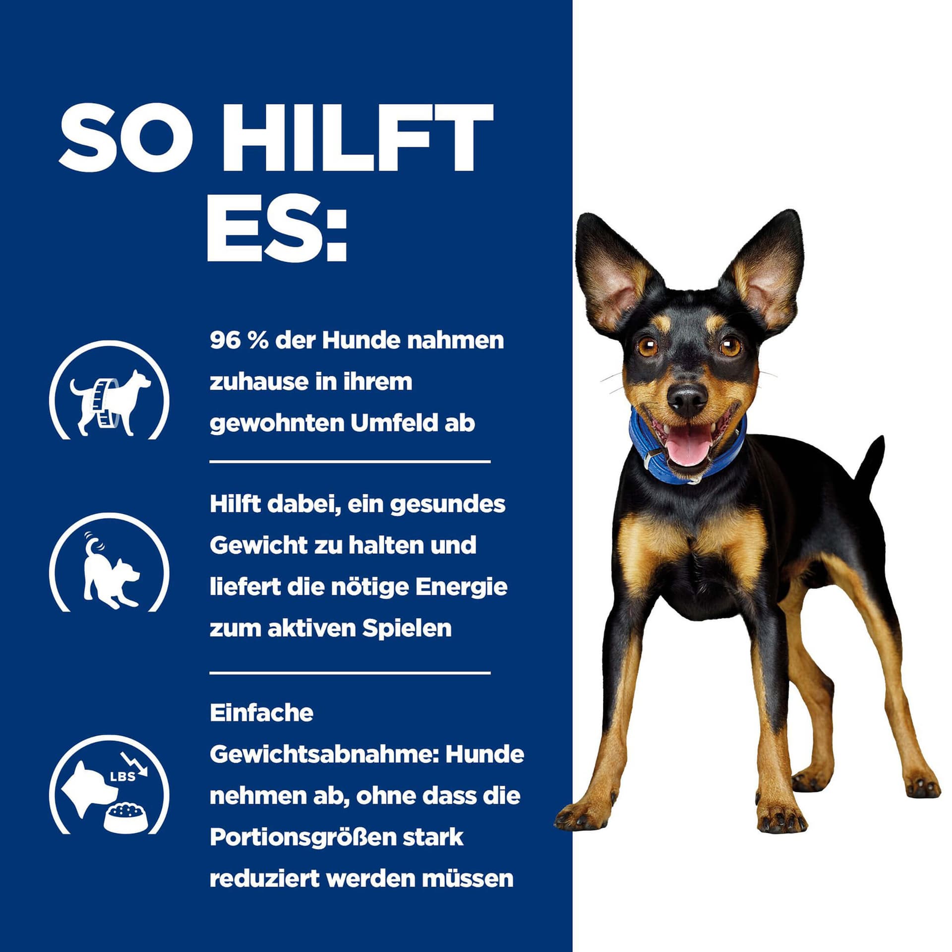 Hund Prescription Diet Metabolic Huhn & Gemüse