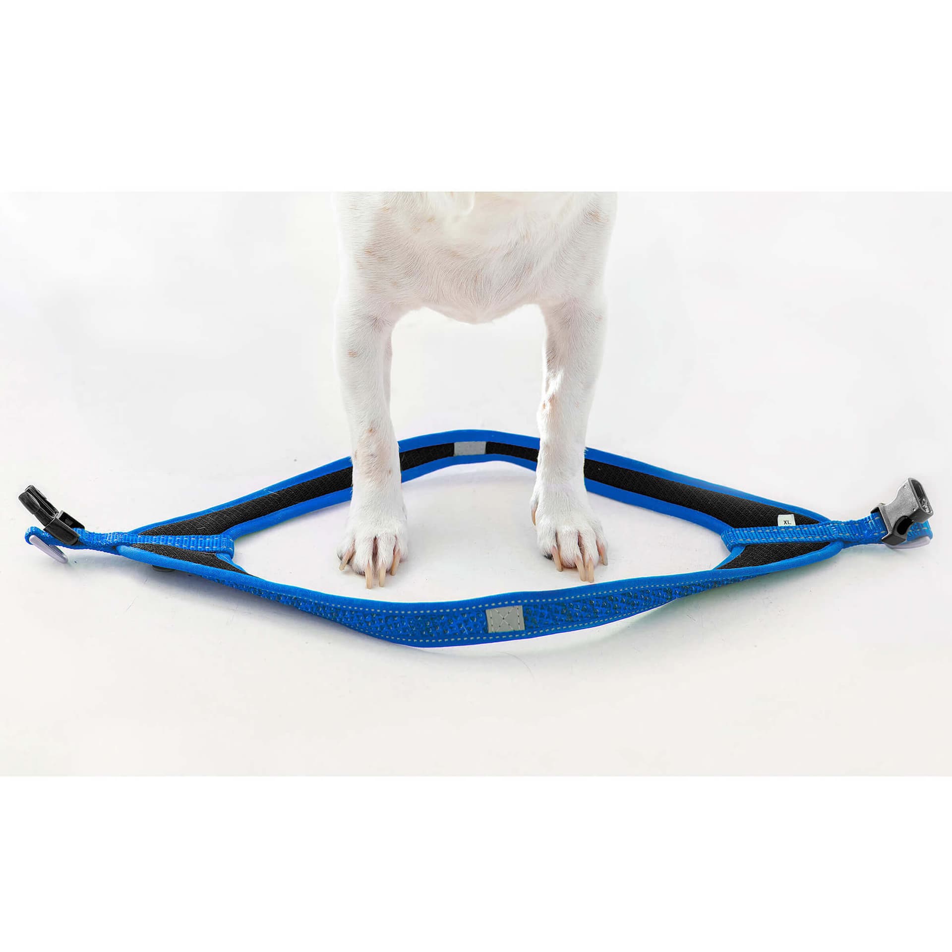 Fast-Fit Harness