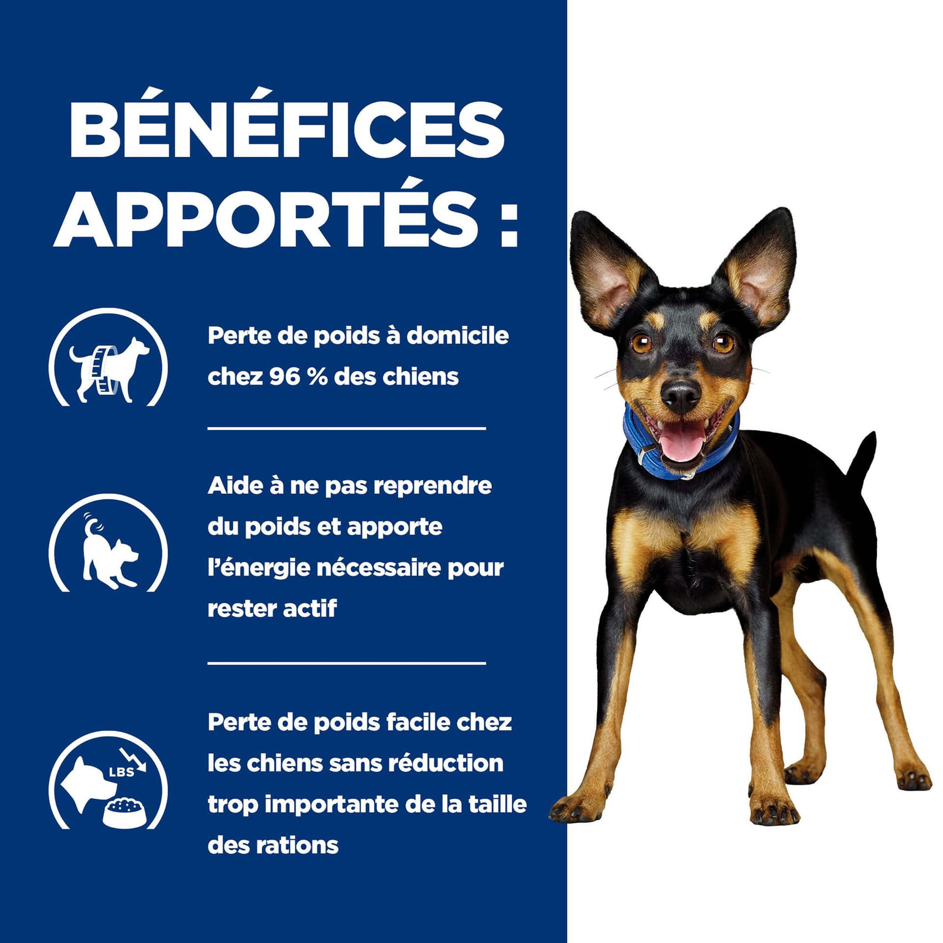 Hund Prescription Diet Metabolic Huhn & Gemüse