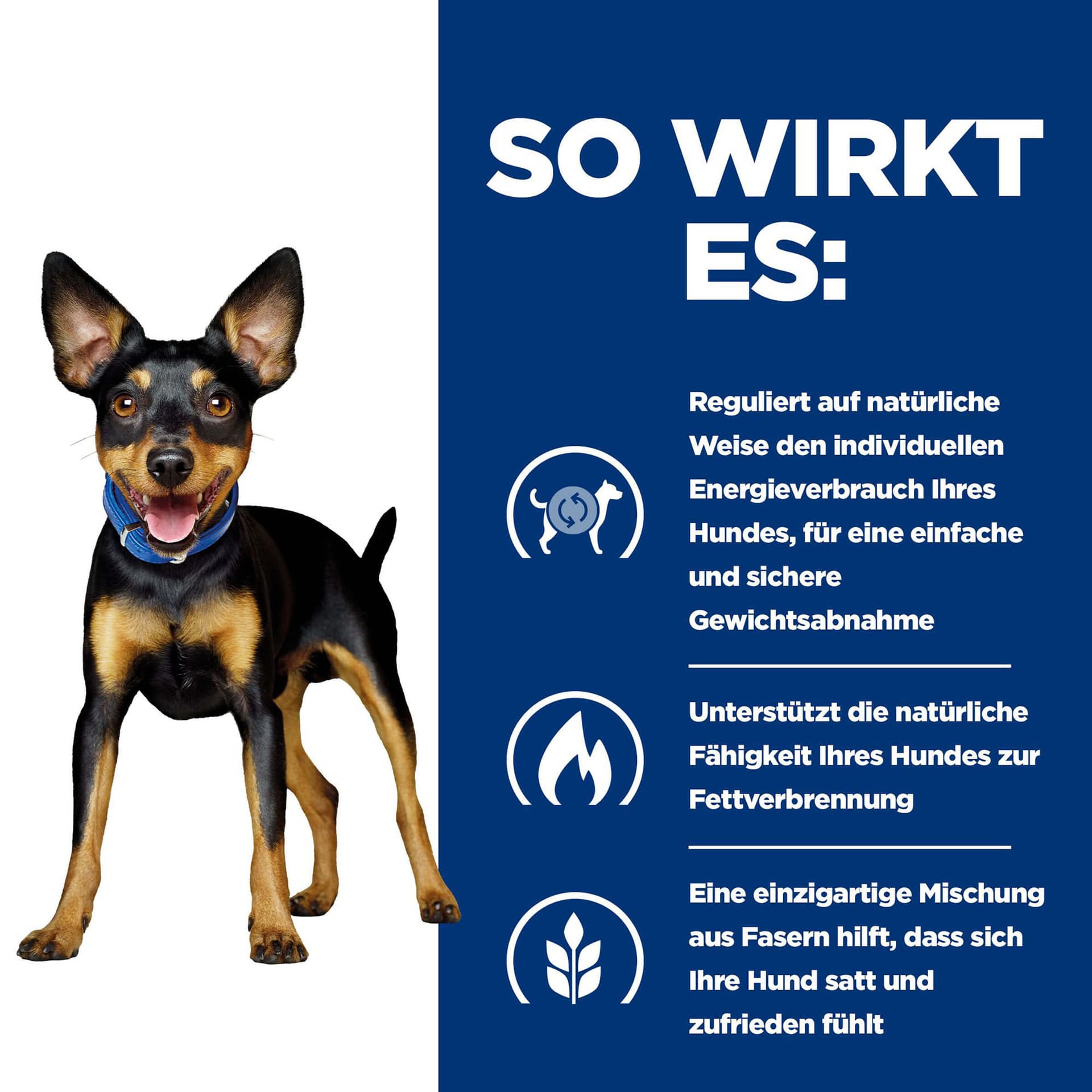 Hund Prescription Diet Metabolic Huhn & Gemüse