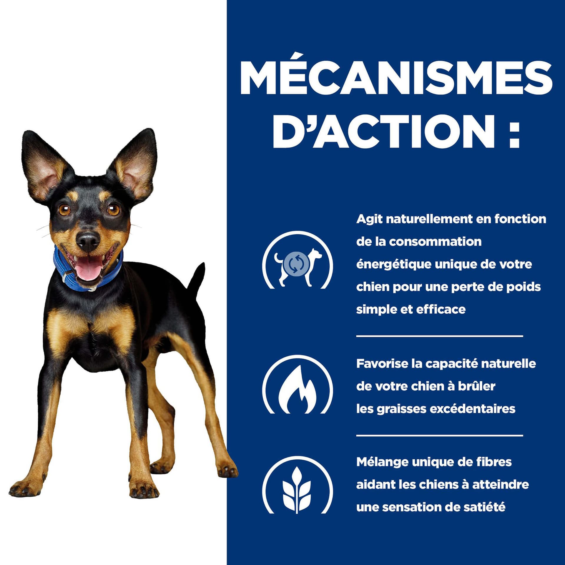 Hund Prescription Diet Metabolic Huhn & Gemüse