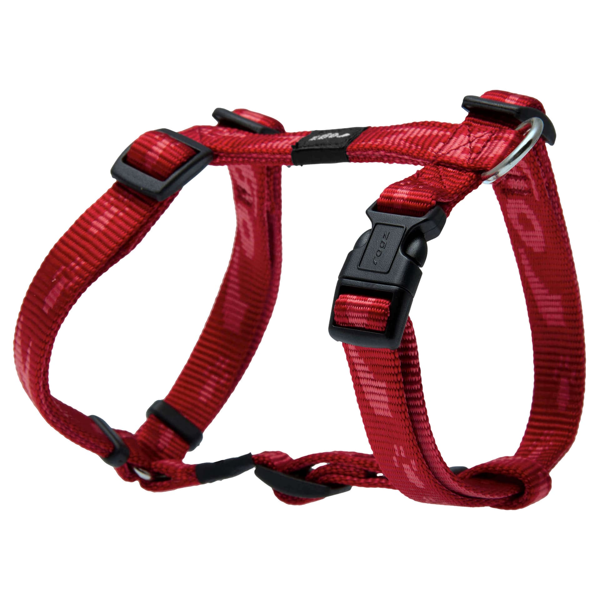 Alpinist Everest