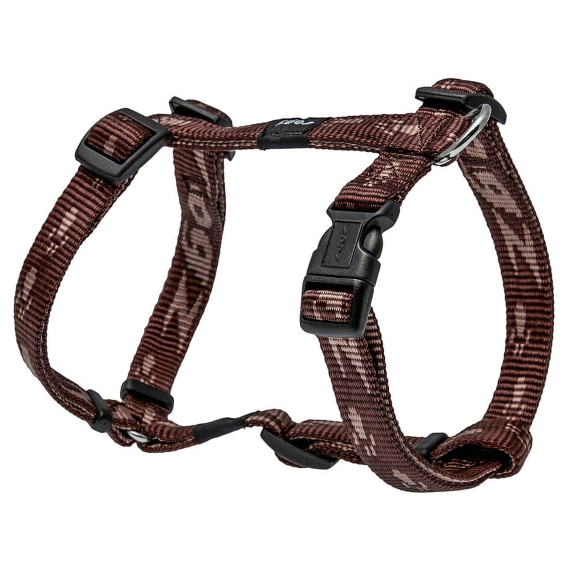 Alpinist Kilimanjaro