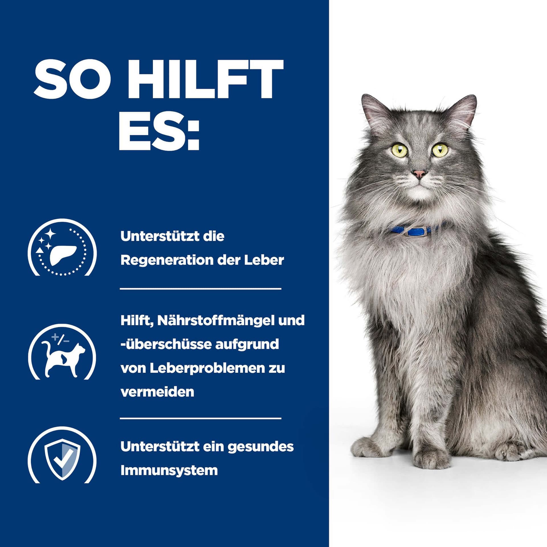 Katze Prescription Diet l/d Liver Care
