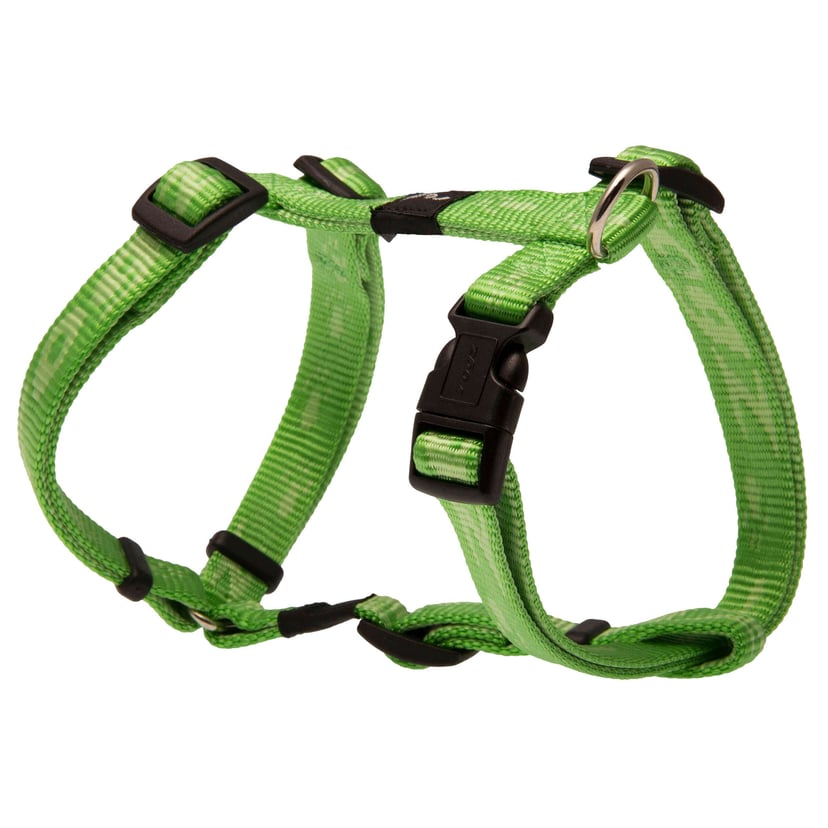 Alpinist Kilimanjaro