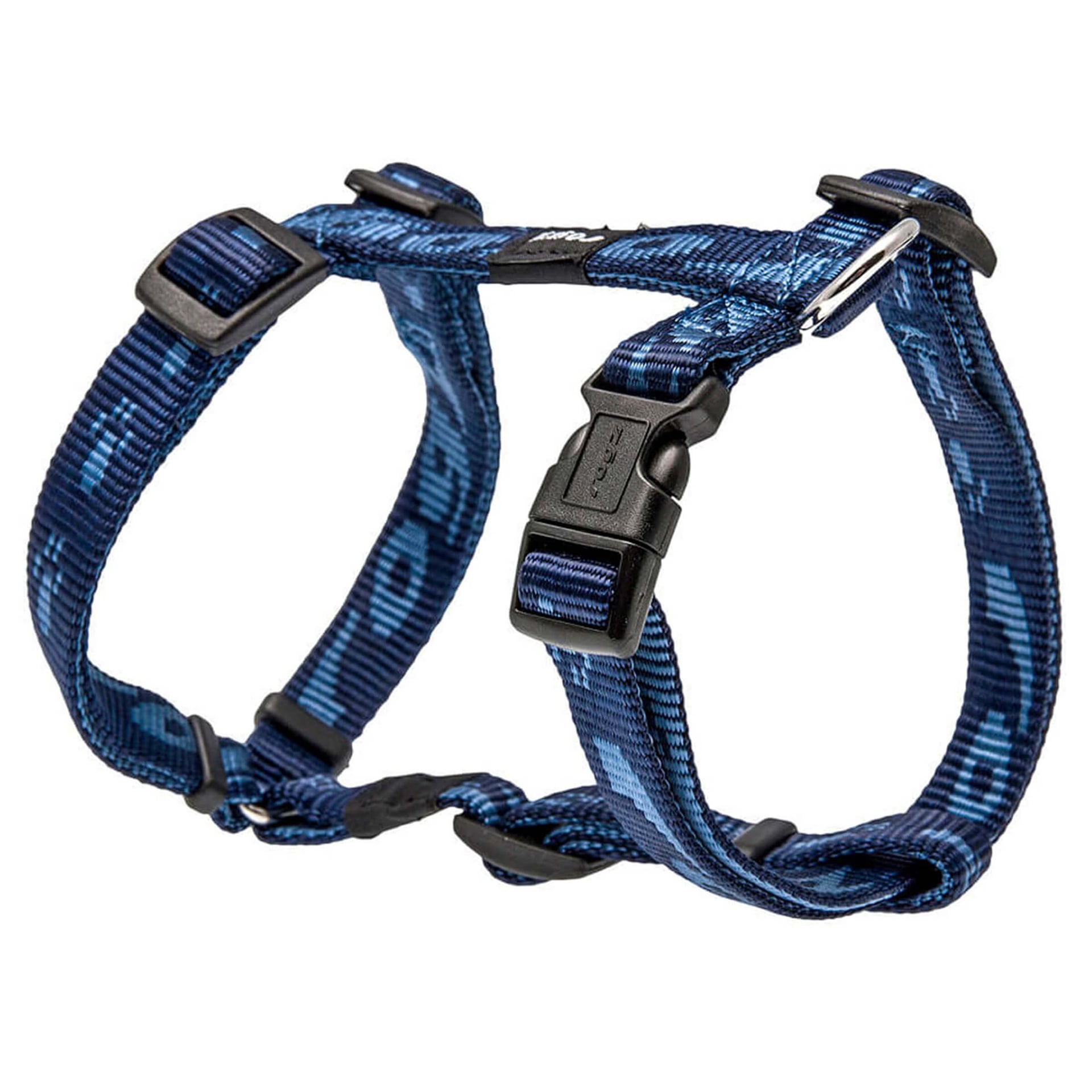 Alpinist Kilimanjaro