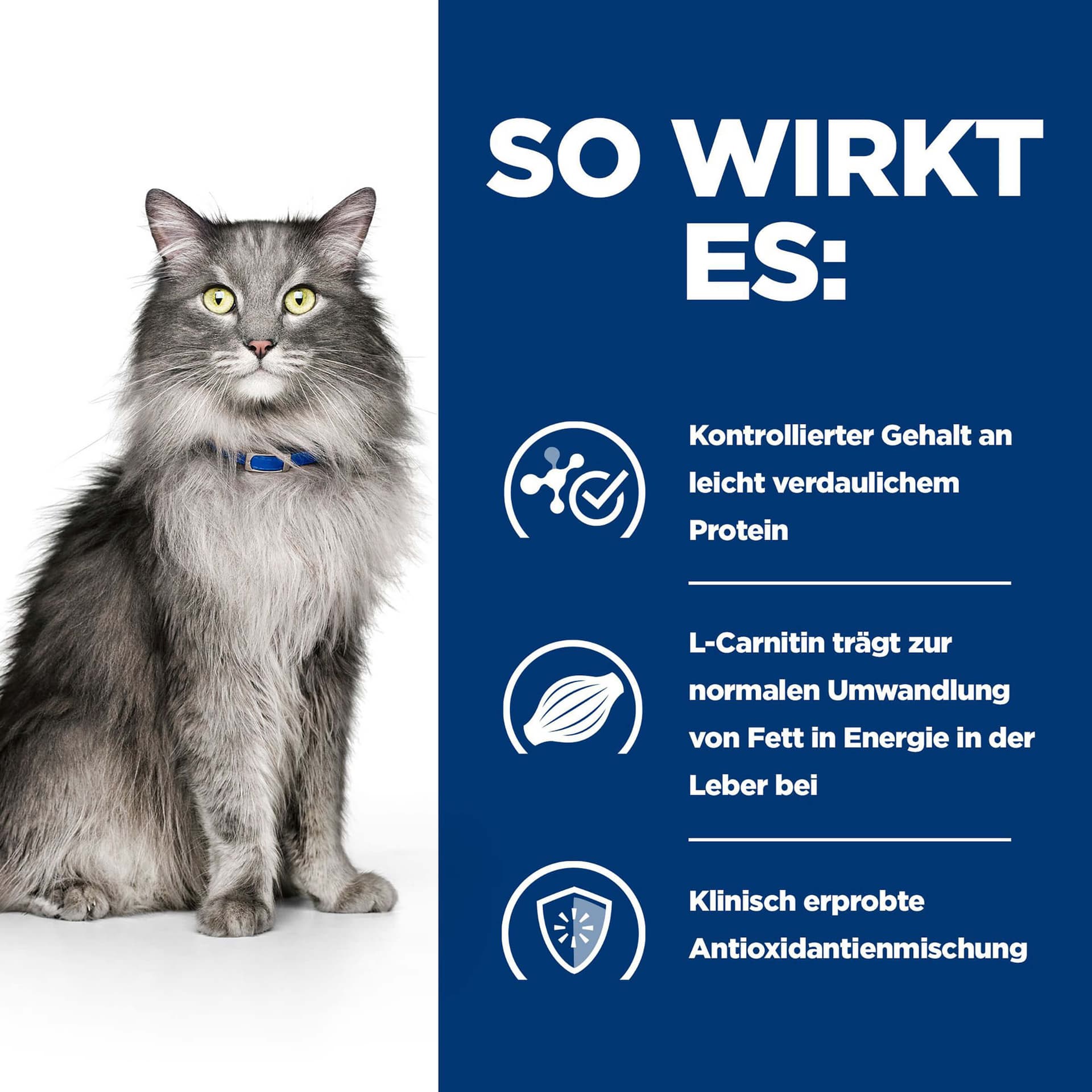 Katze Prescription Diet l/d Liver Care
