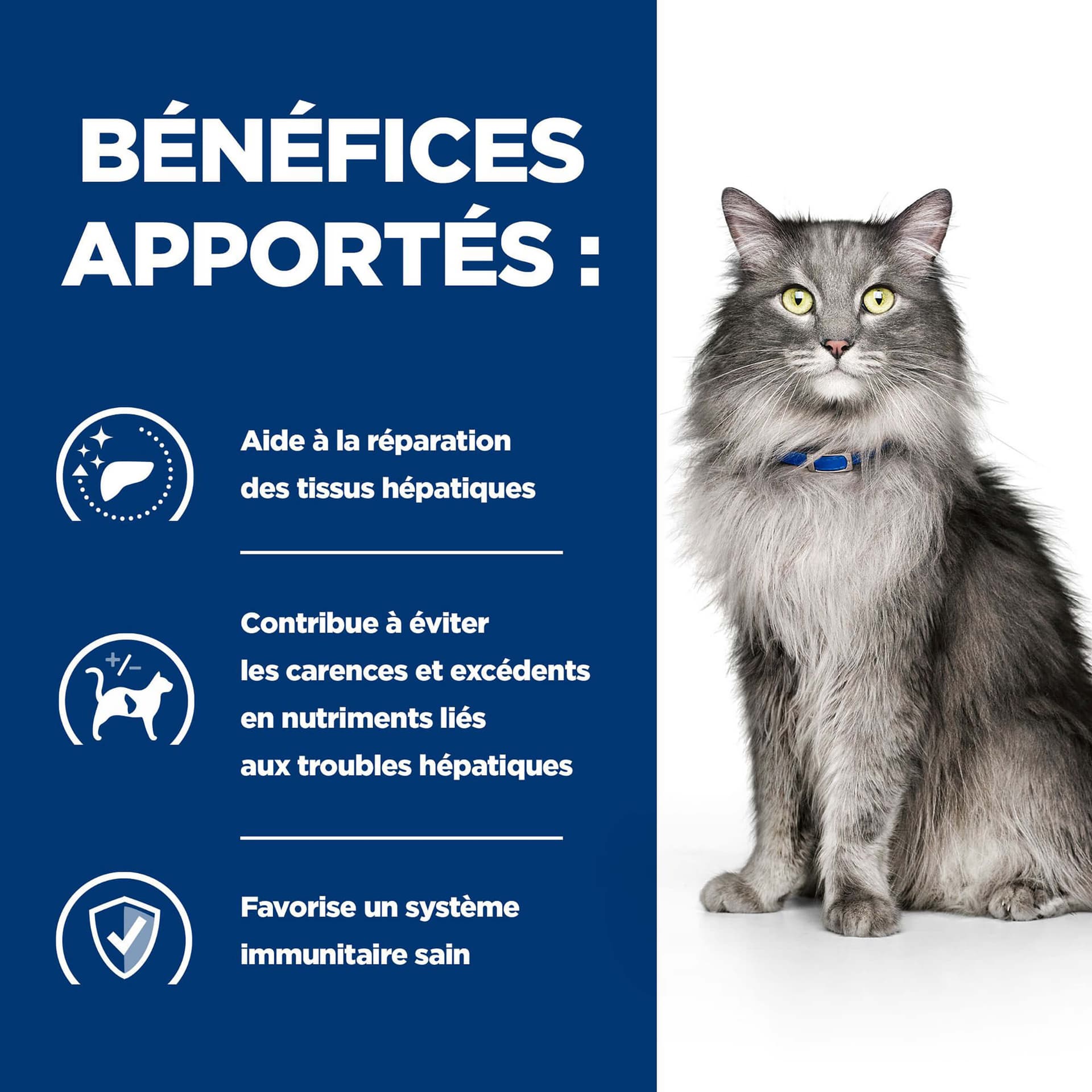 Katze Prescription Diet l/d Liver Care