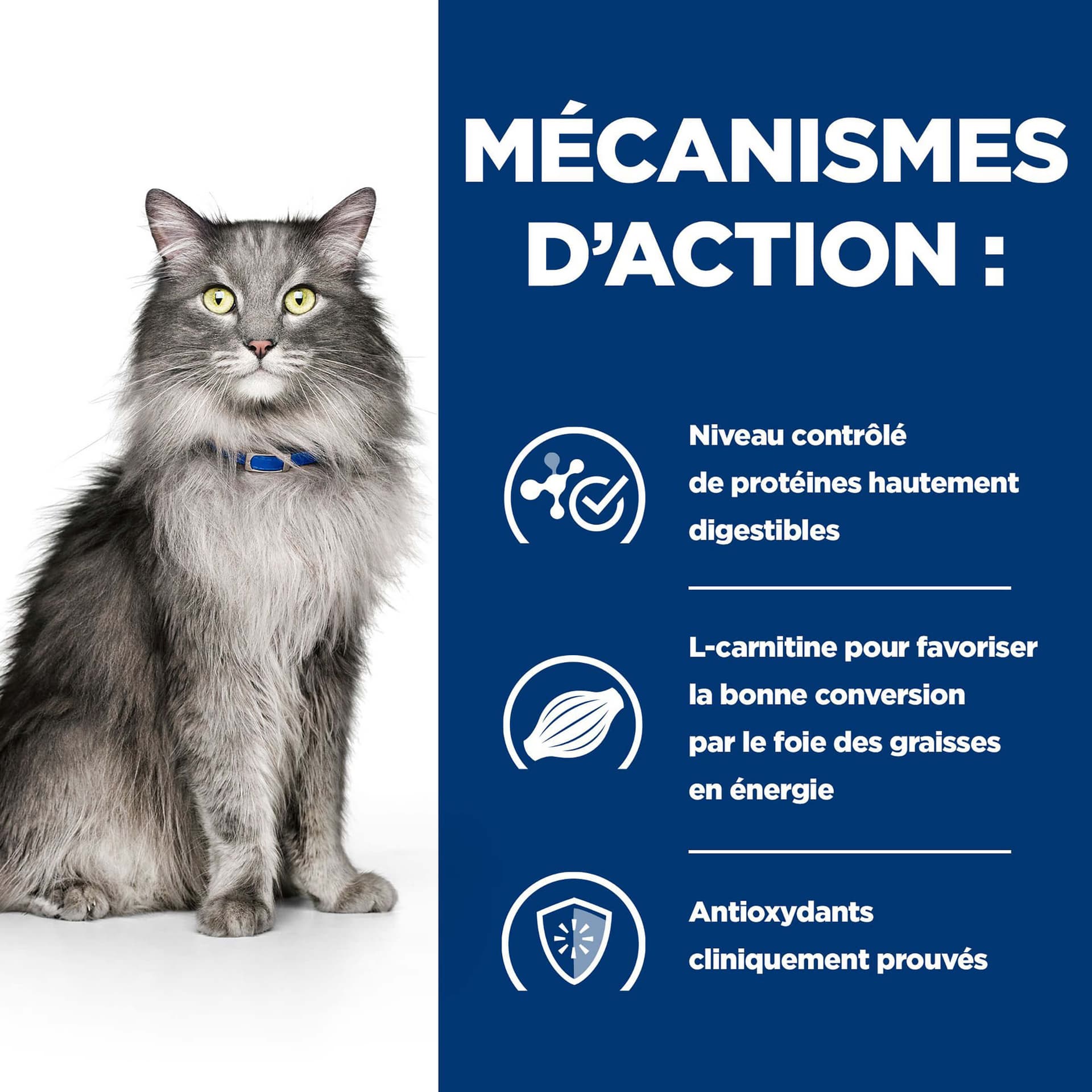 Katze Prescription Diet l/d Liver Care