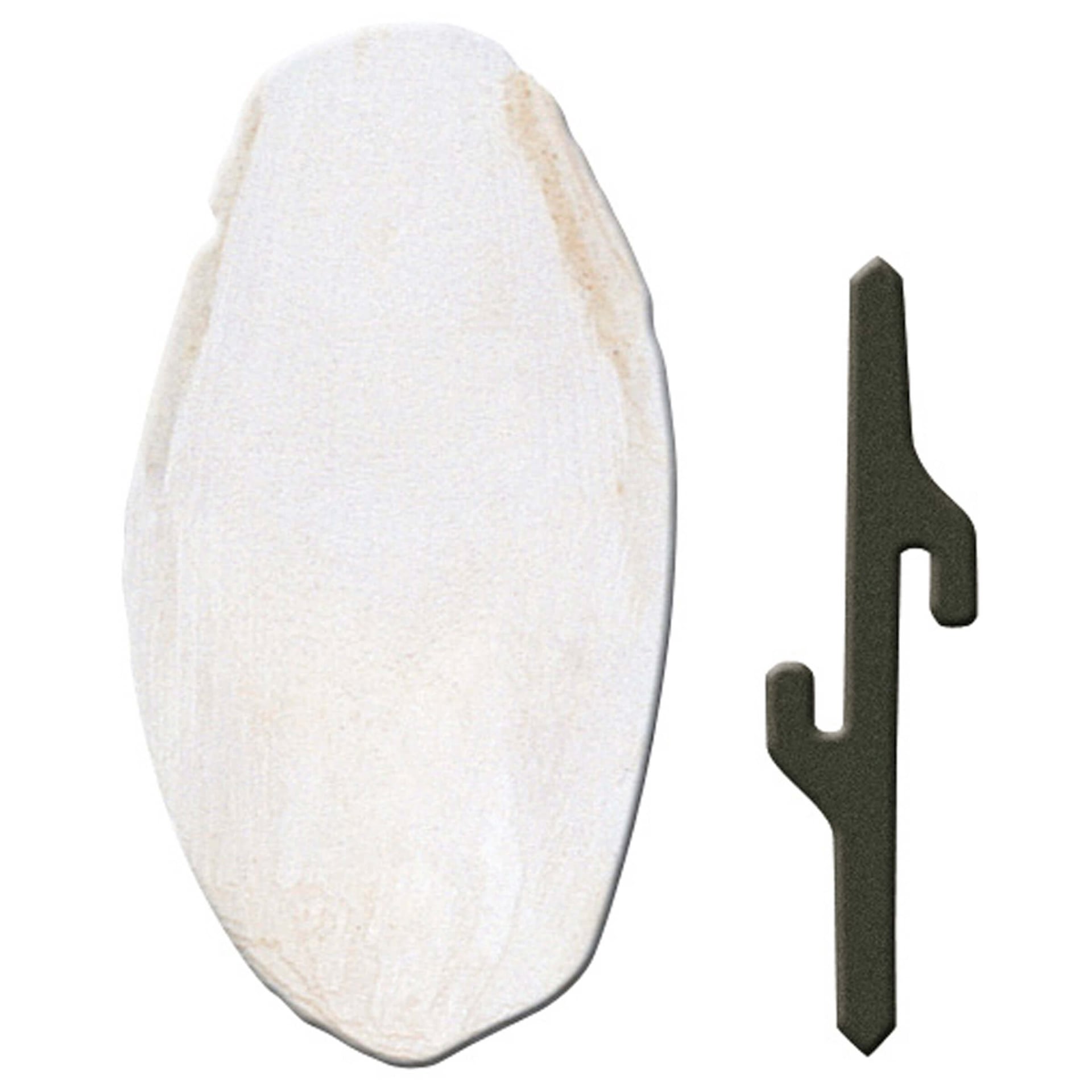 Sepiaschale small mit Halterung