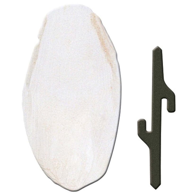 Sepiaschale small mit Halterung