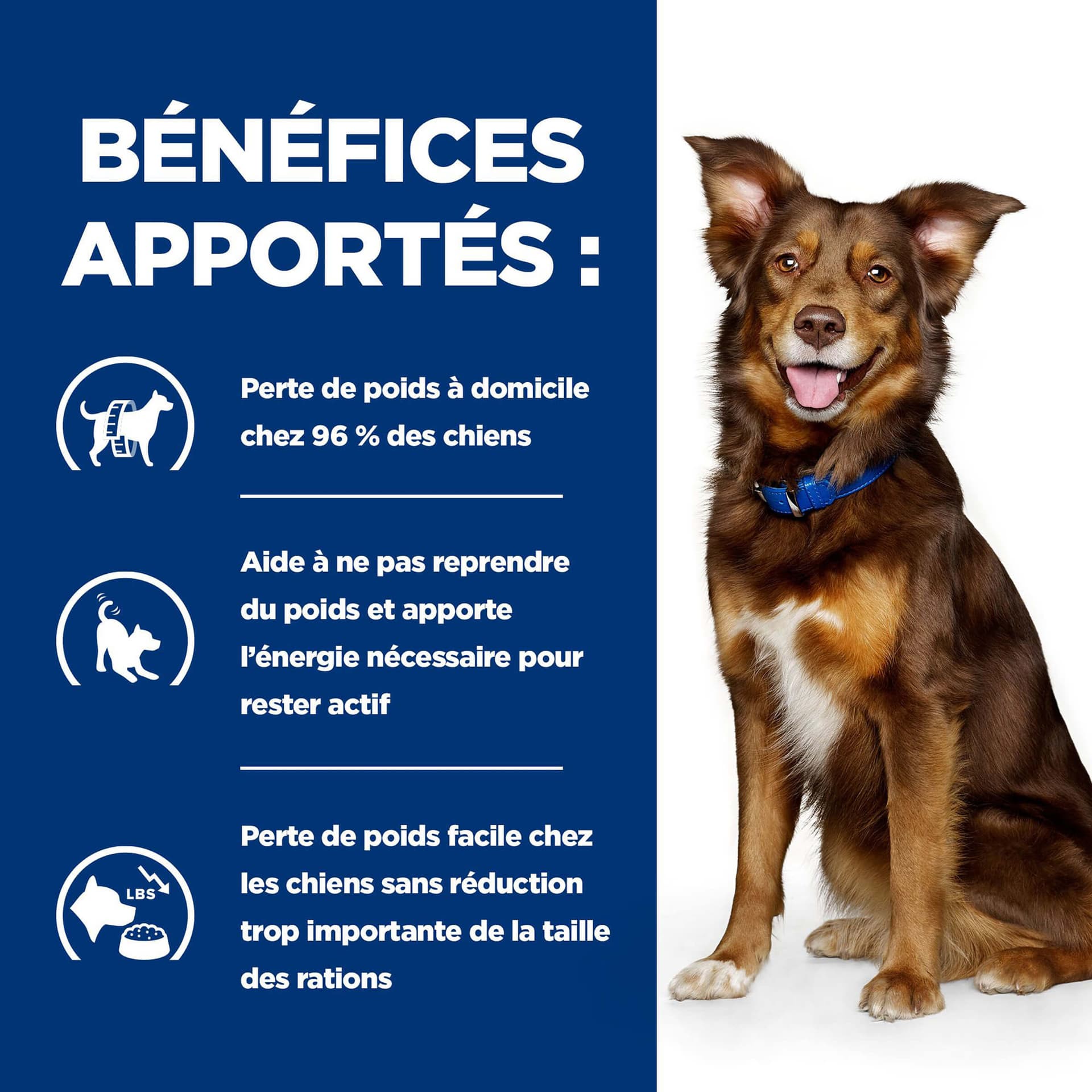 Hund Prescription Diet Metabolic Rind