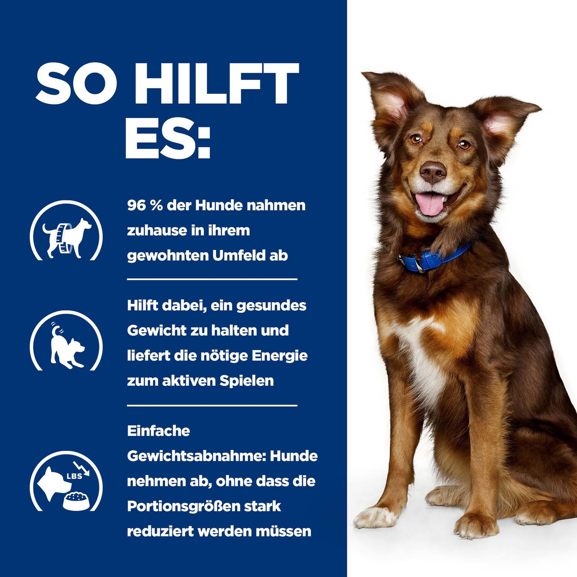 Hund Prescription Diet Metabolic Rind