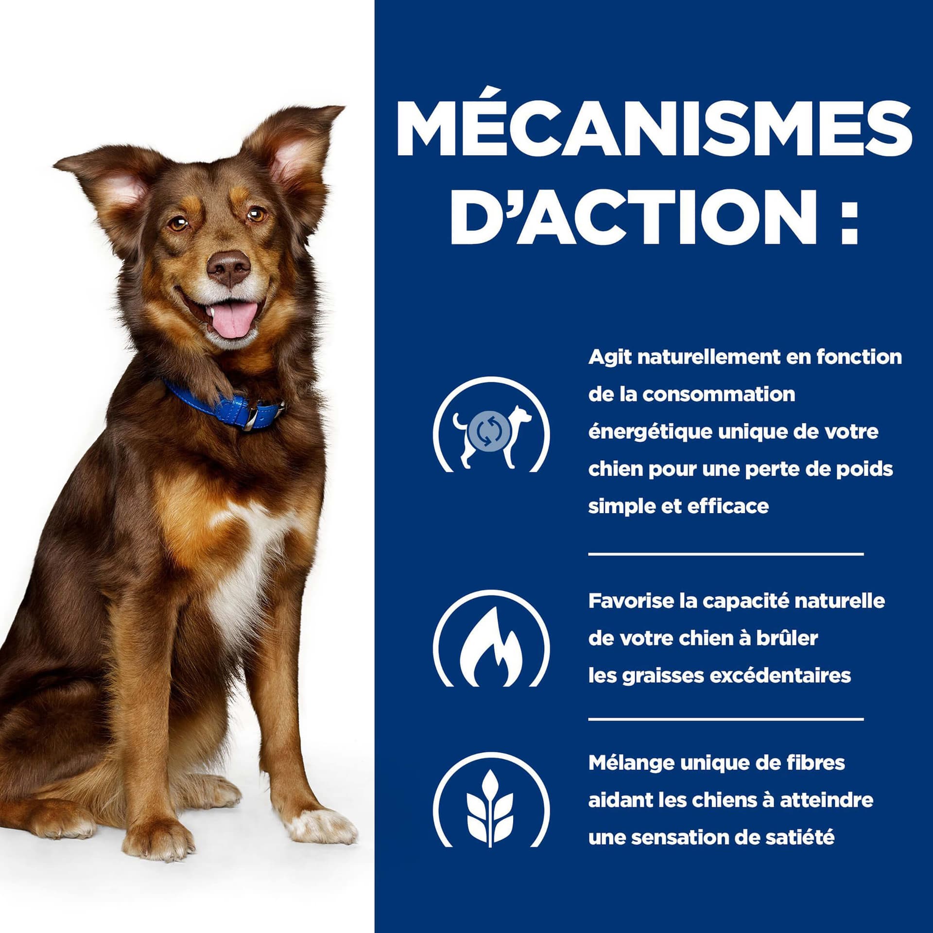 Hund Prescription Diet Metabolic Rind