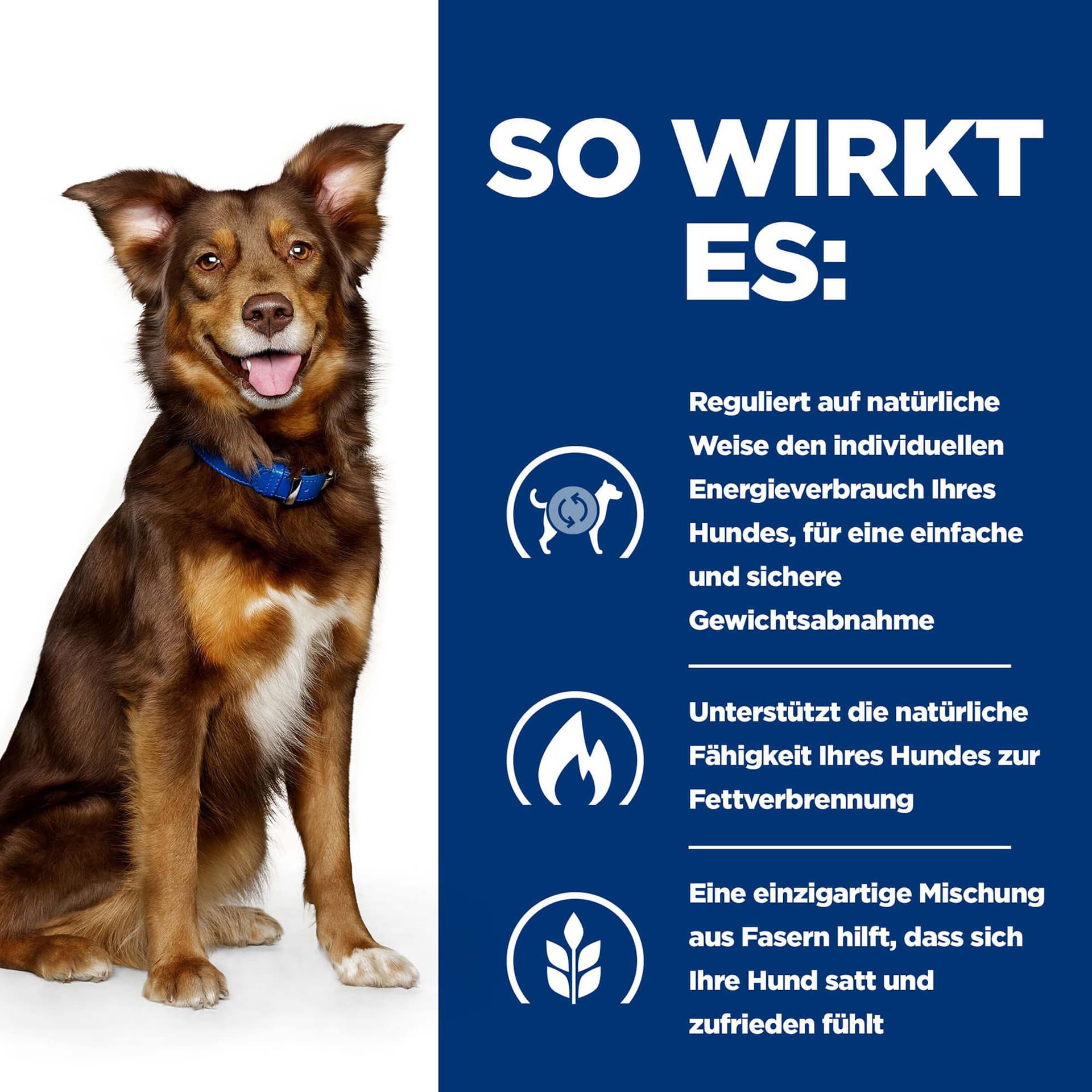 Hund Prescription Diet Metabolic Rind