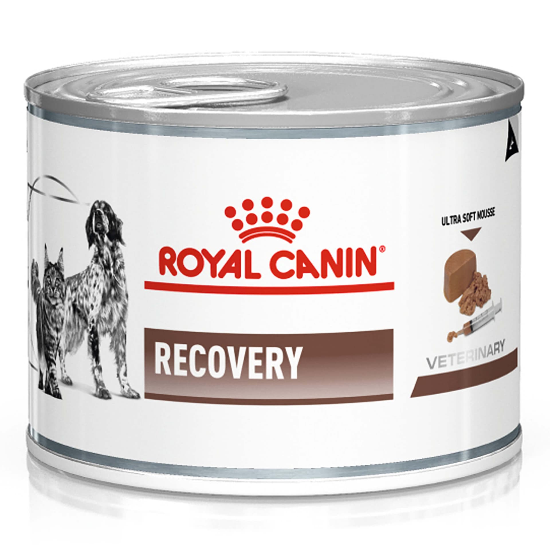 Katze/Hund Recovery