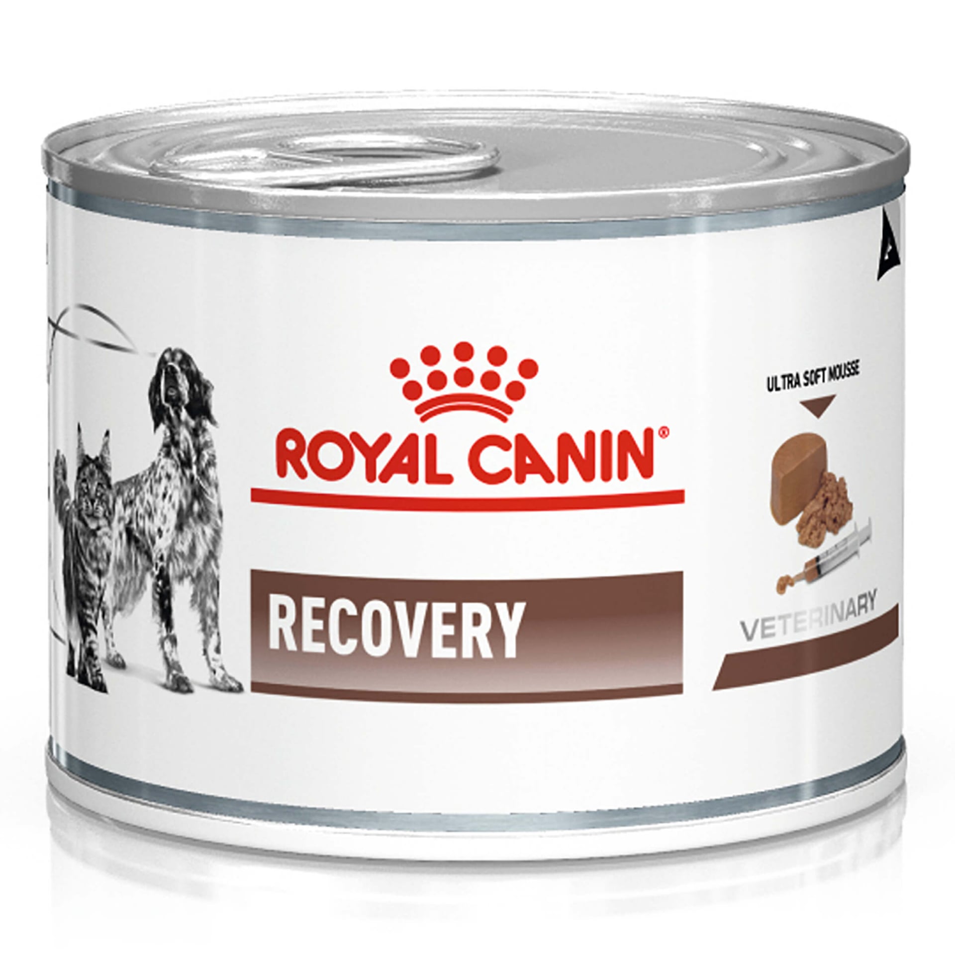 Katze/Hund Recovery