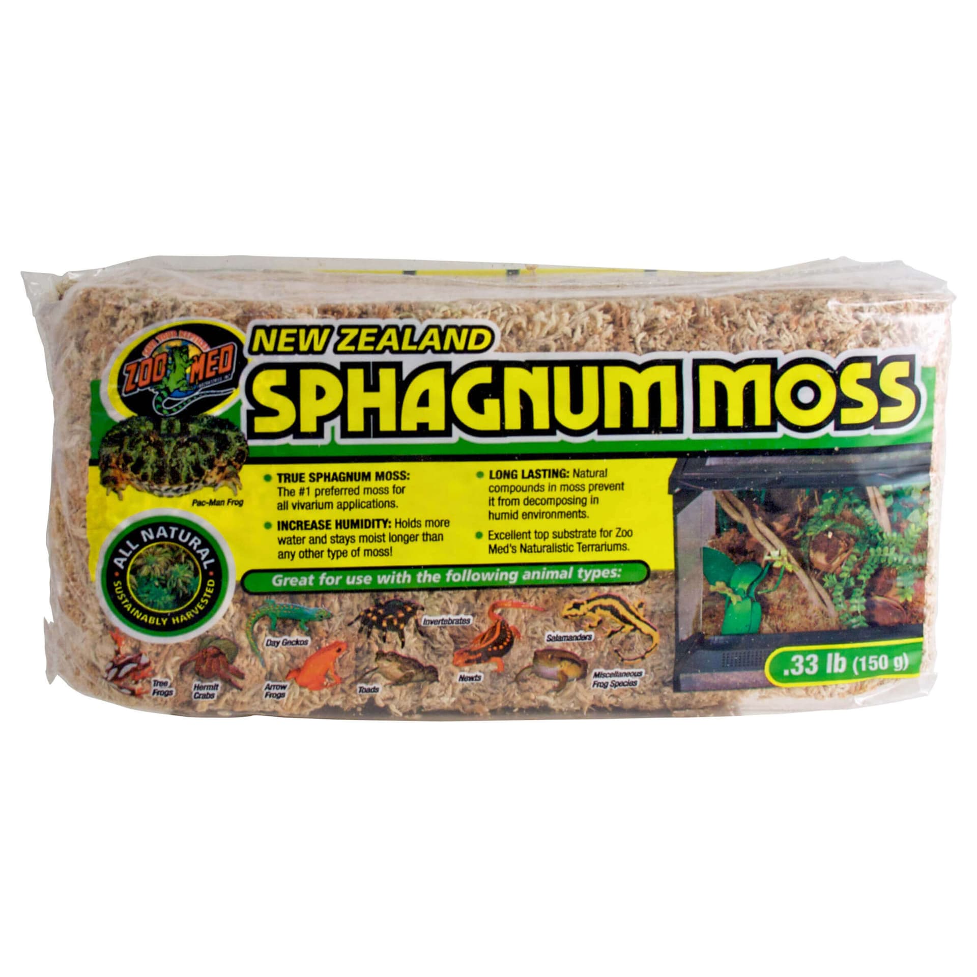 New Zealand Sphagnum Moos
