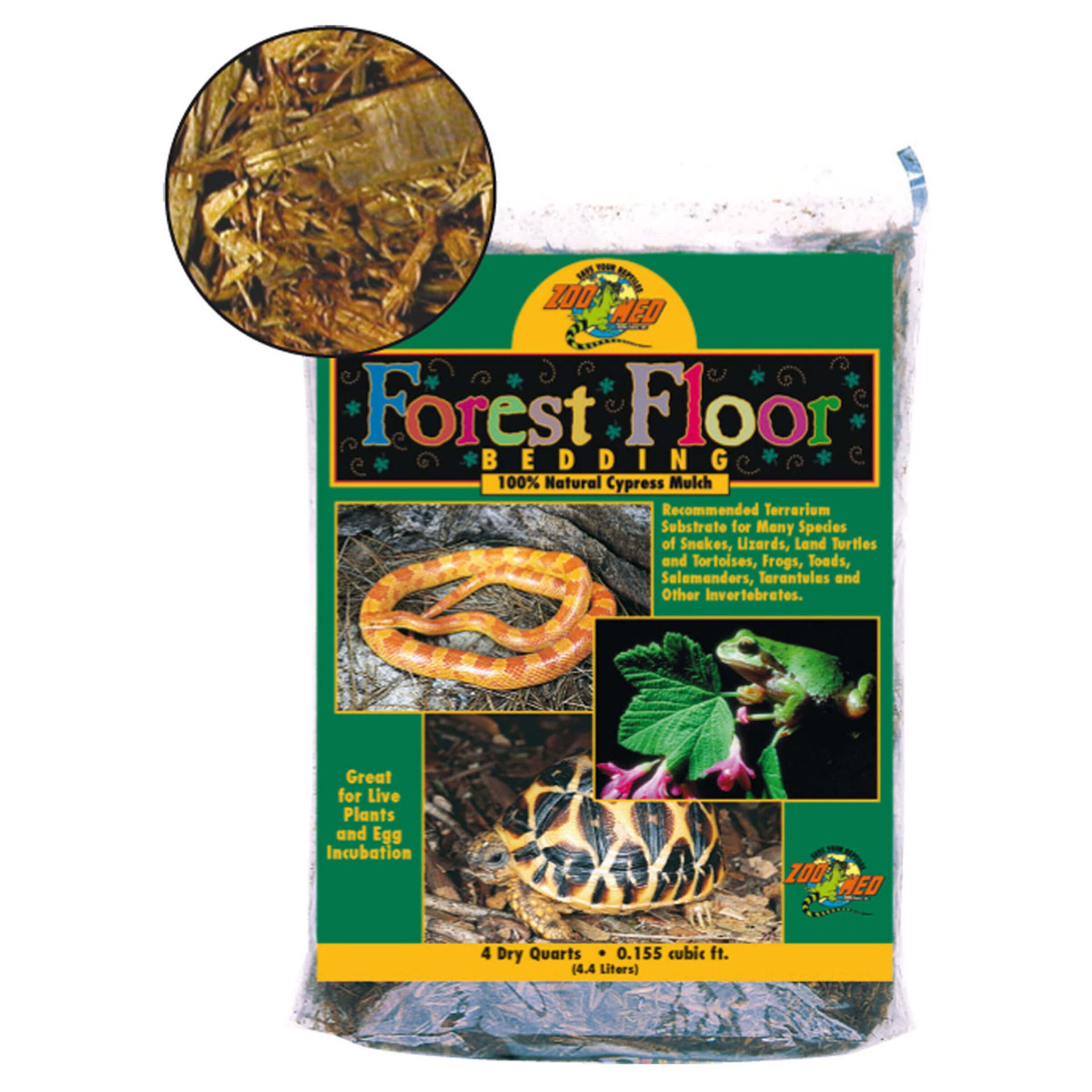 Bodengrund Forest Floor