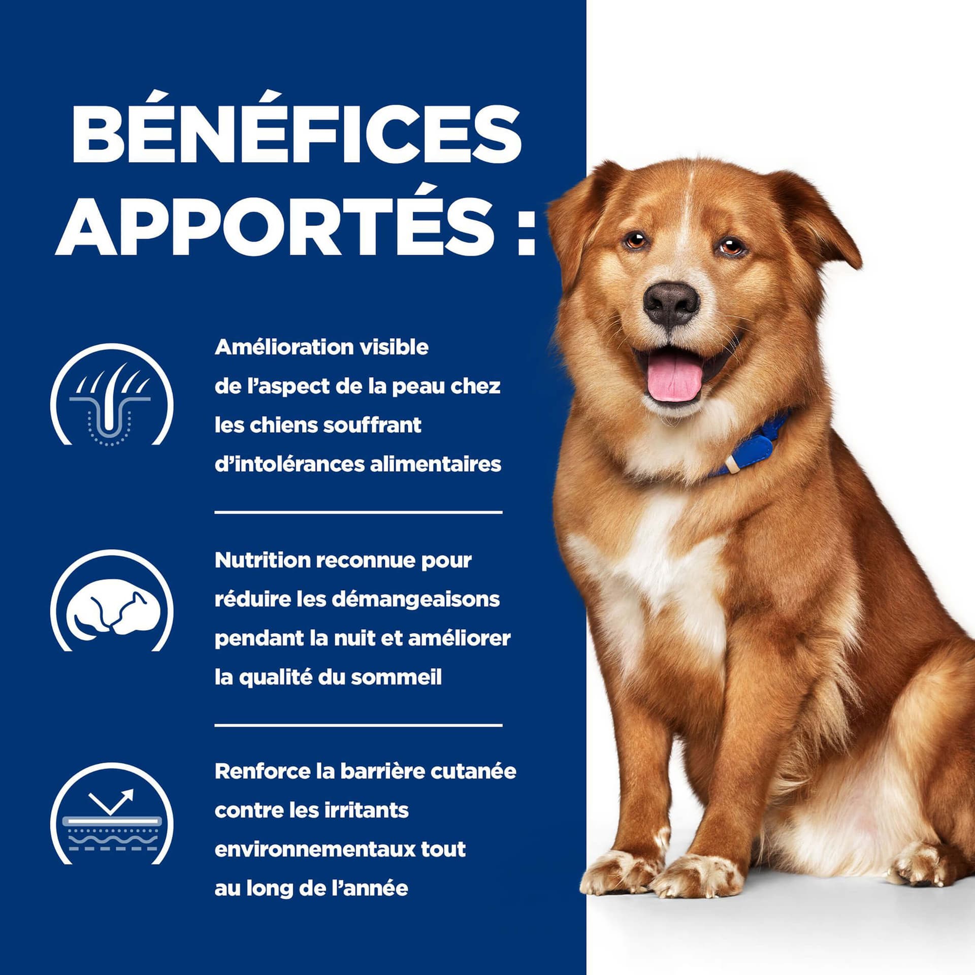 Hund Prescription Diet Derm Complete