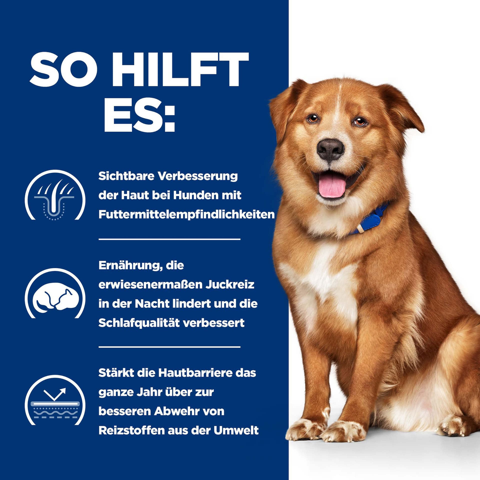 Hund Prescription Diet Derm Complete
