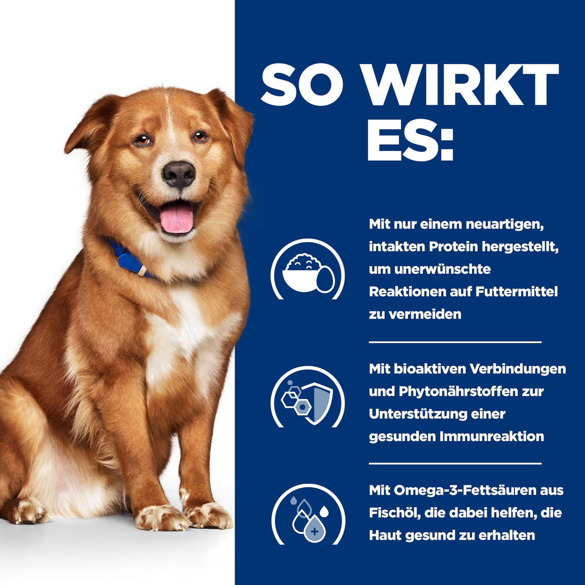 Hund Prescription Diet Derm Complete